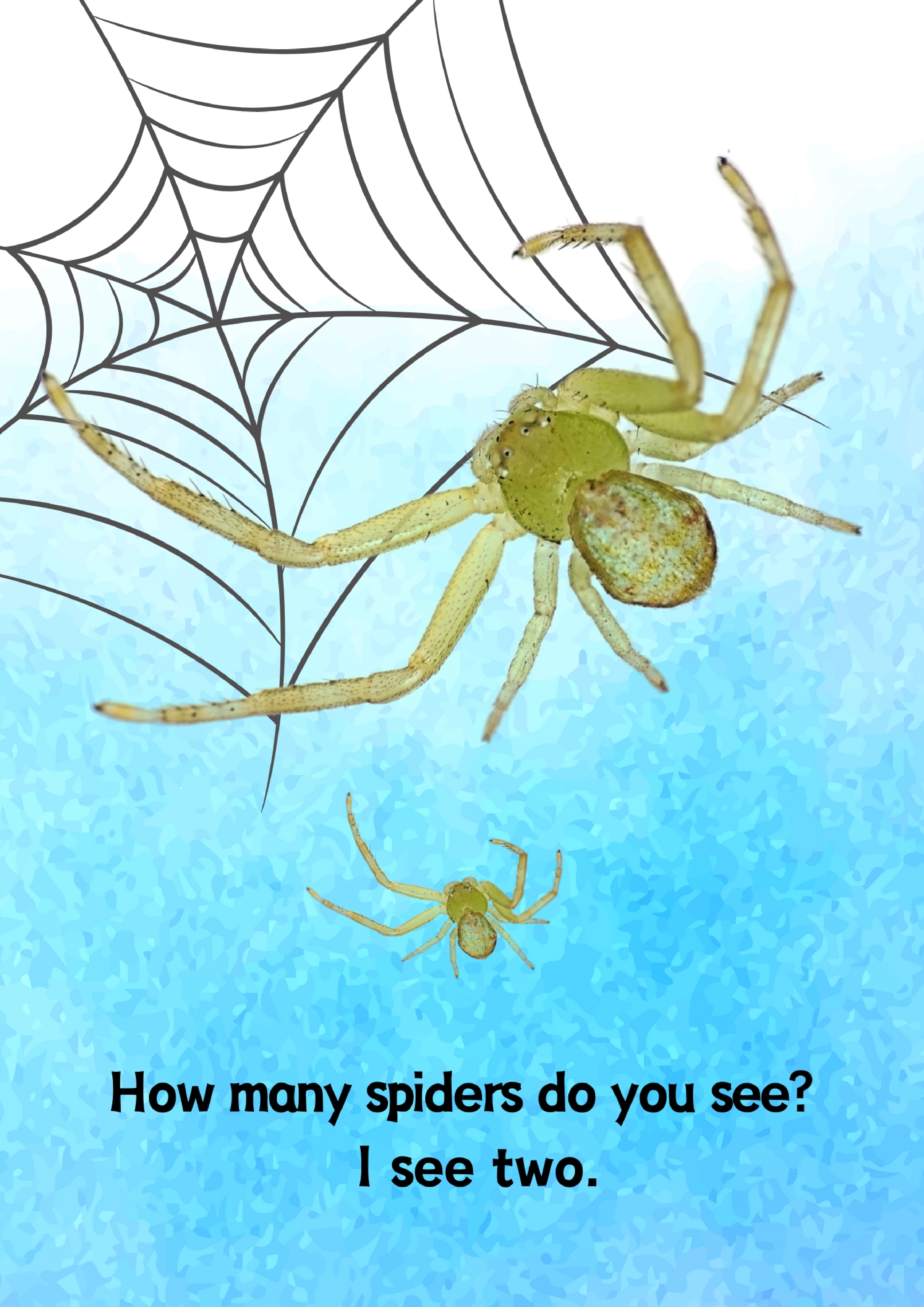 Insects昆虫数量单词卡.pdf 第4页