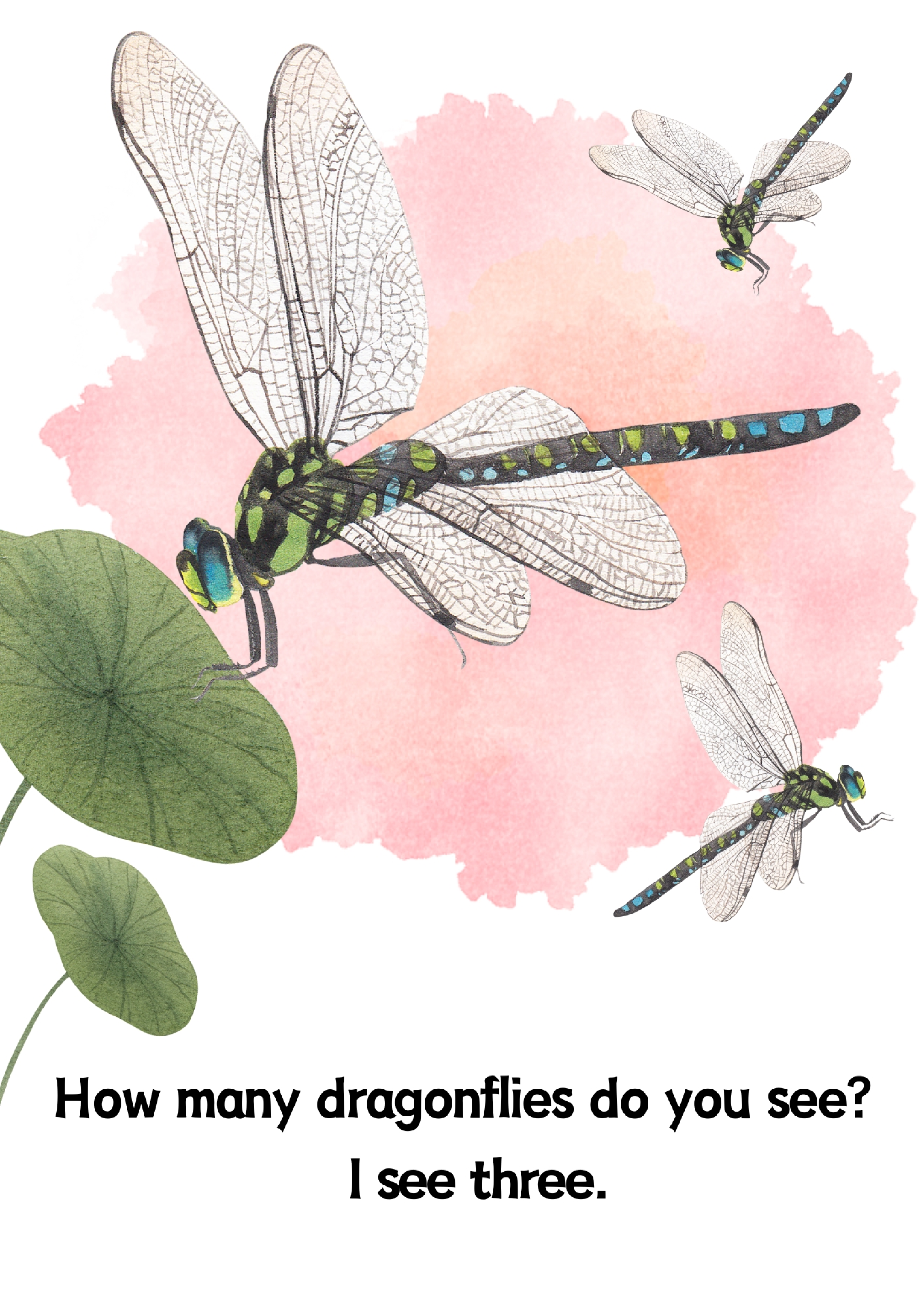 Insects昆虫数量单词卡.pdf 第5页