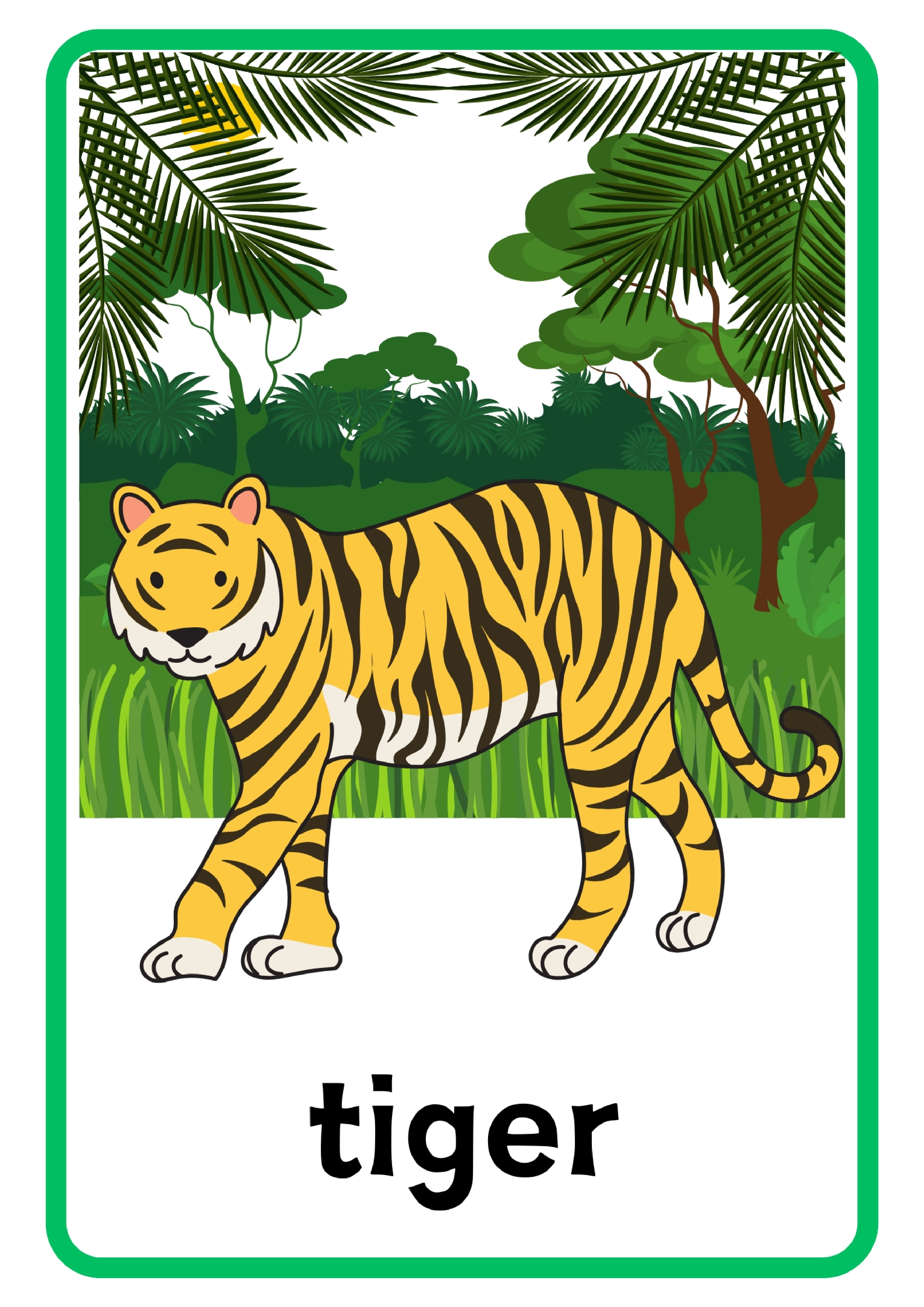 Animal动物主题单词卡x6.pdf 第1页