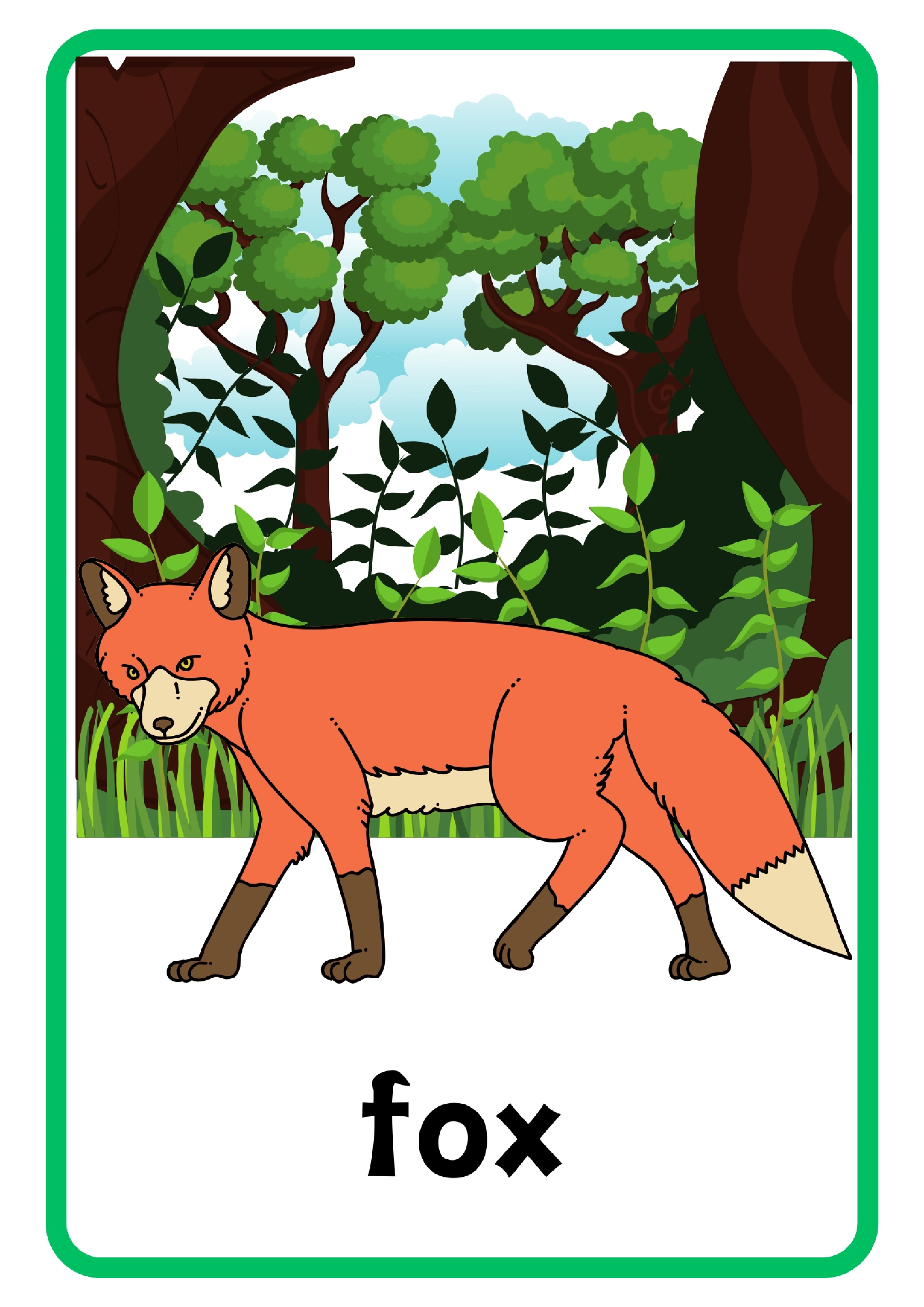 Animal动物主题单词卡x6.pdf 第2页