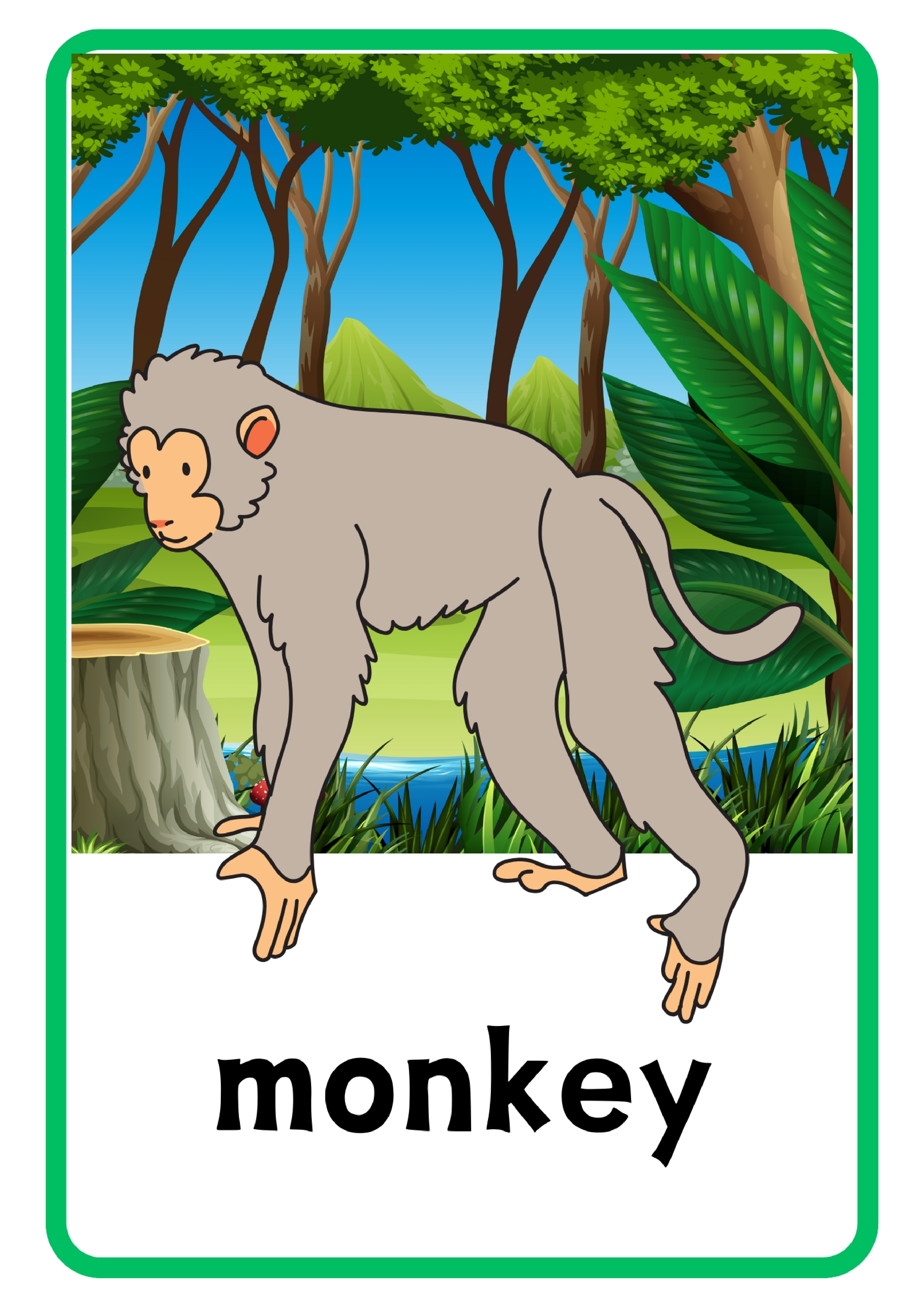 Animal动物主题单词卡x6.pdf 第3页