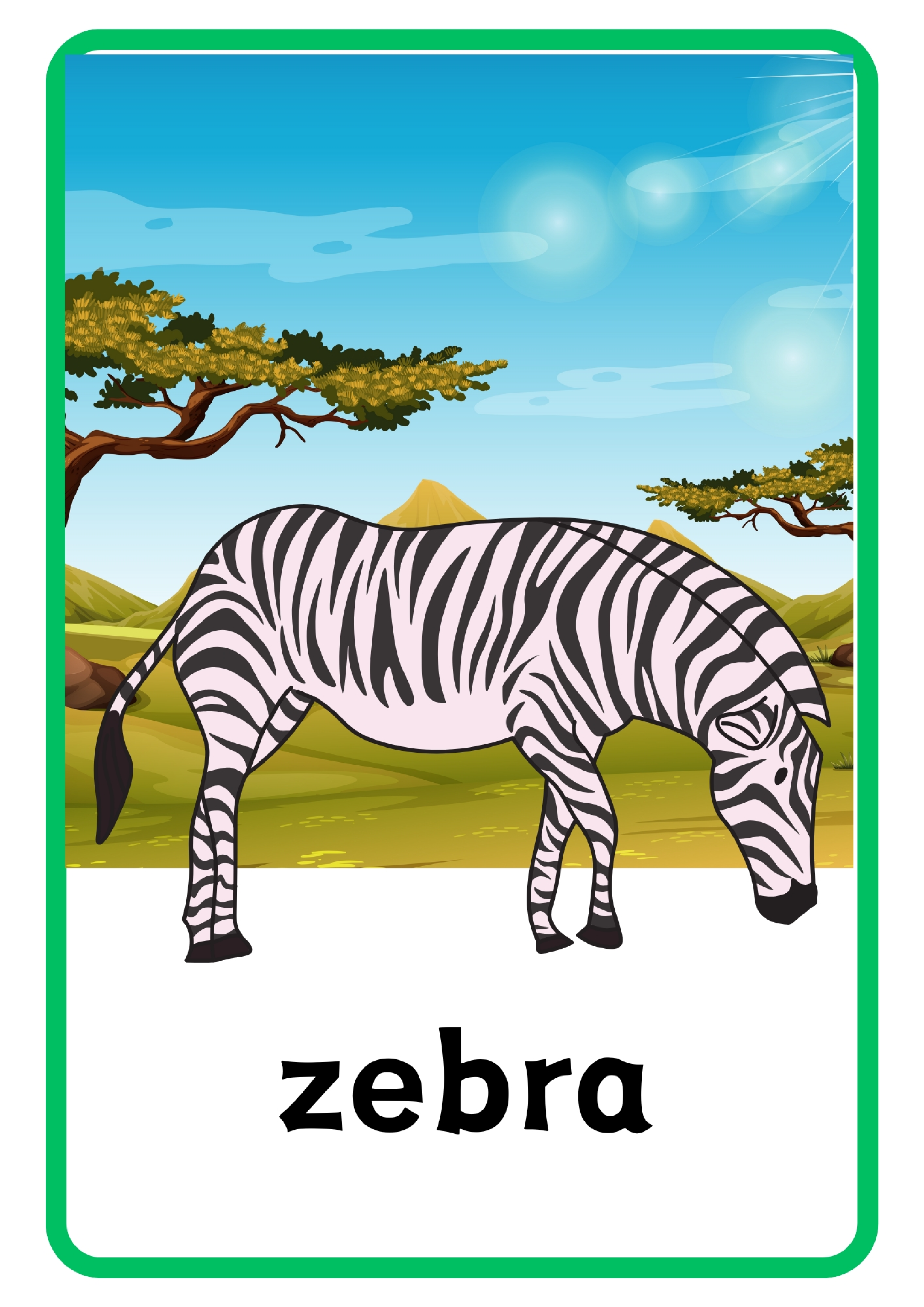 Animal动物主题单词卡x6.pdf 第4页