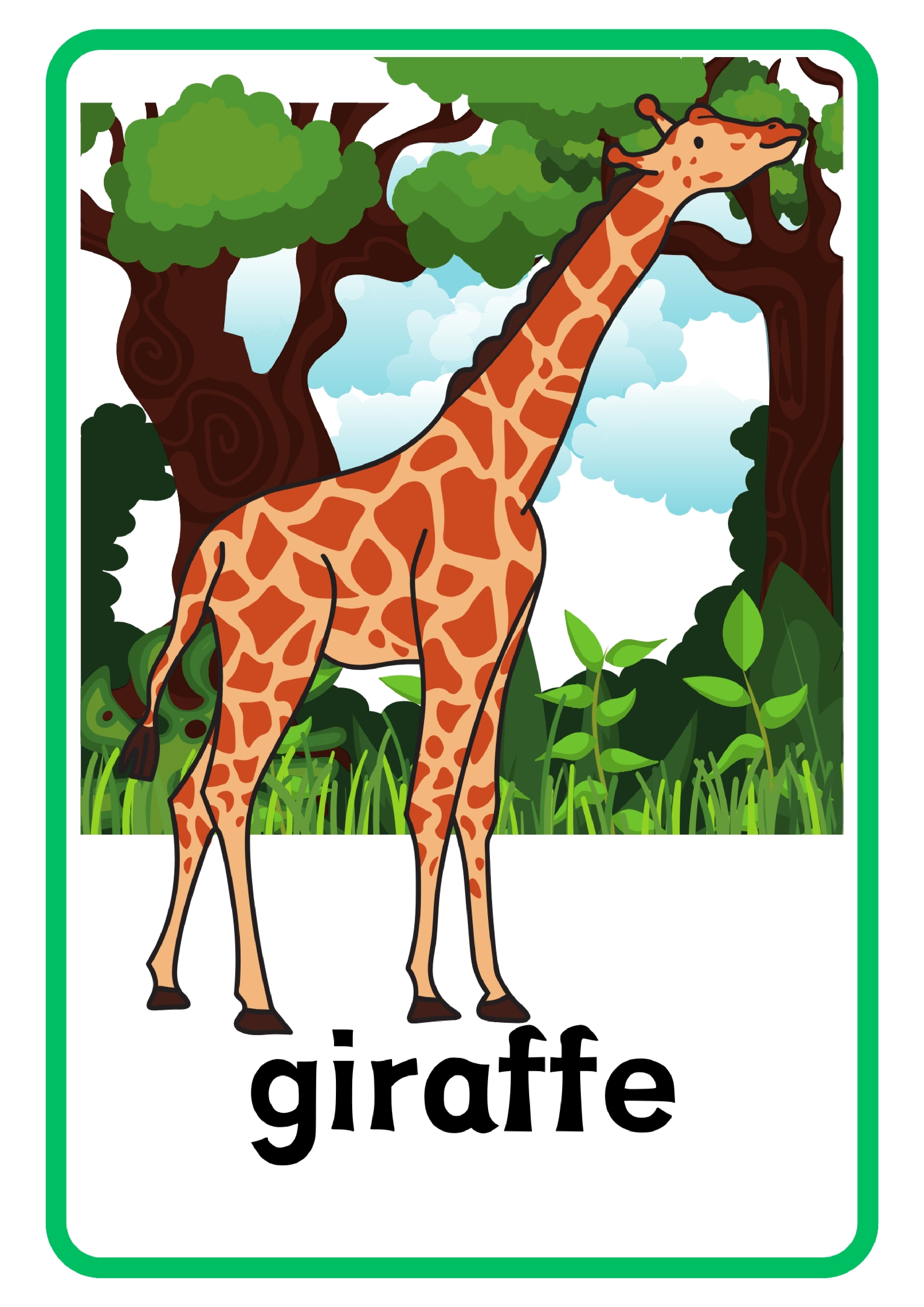 Animal动物主题单词卡x6.pdf 第5页