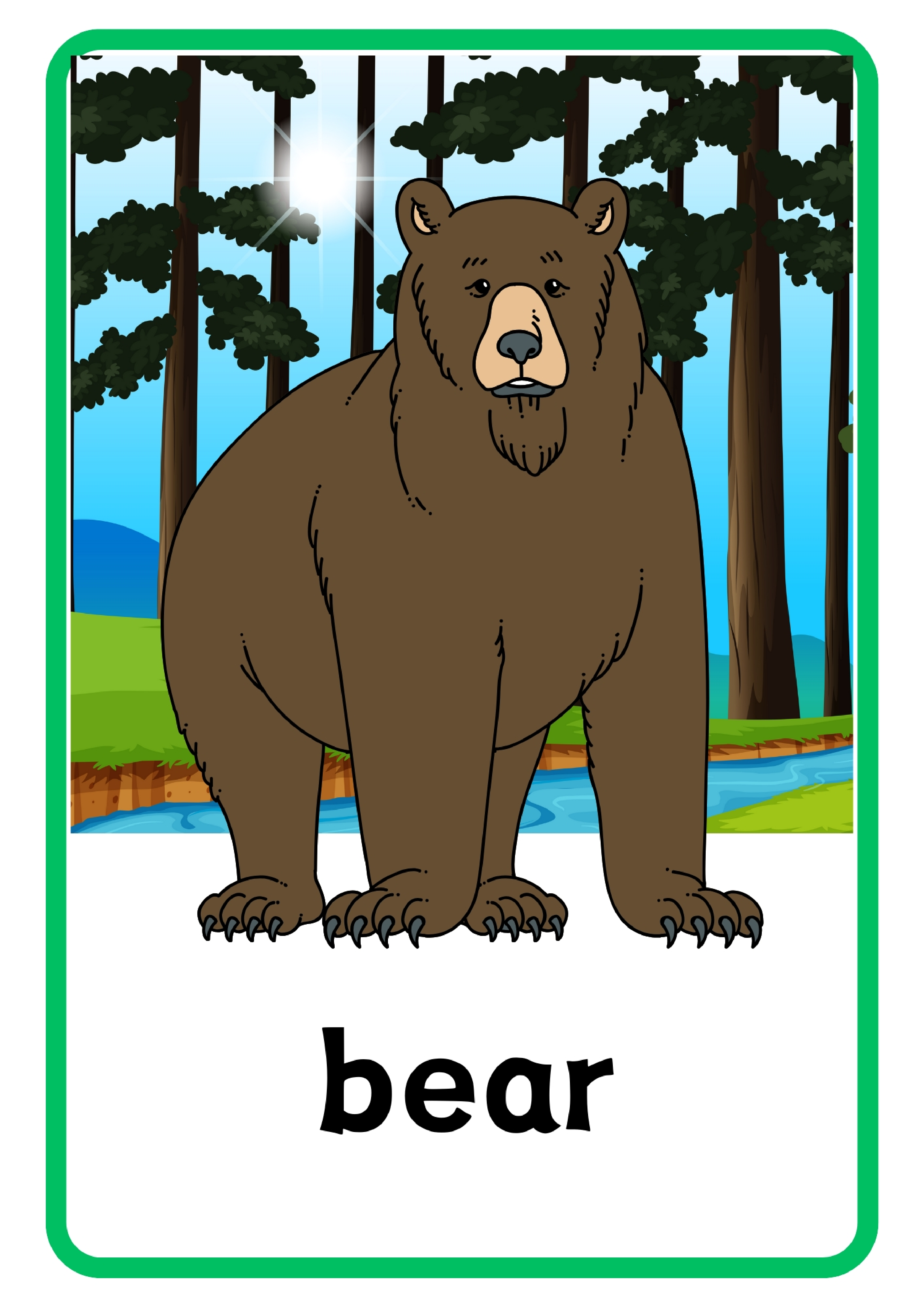 Animal动物主题单词卡x6.pdf 第6页