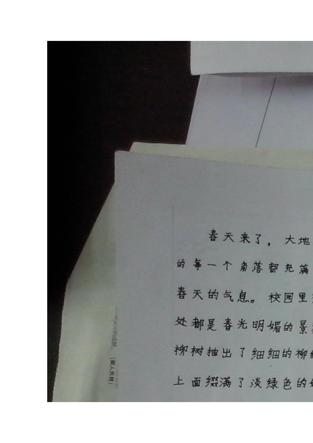 三年级板报.doc 第4页