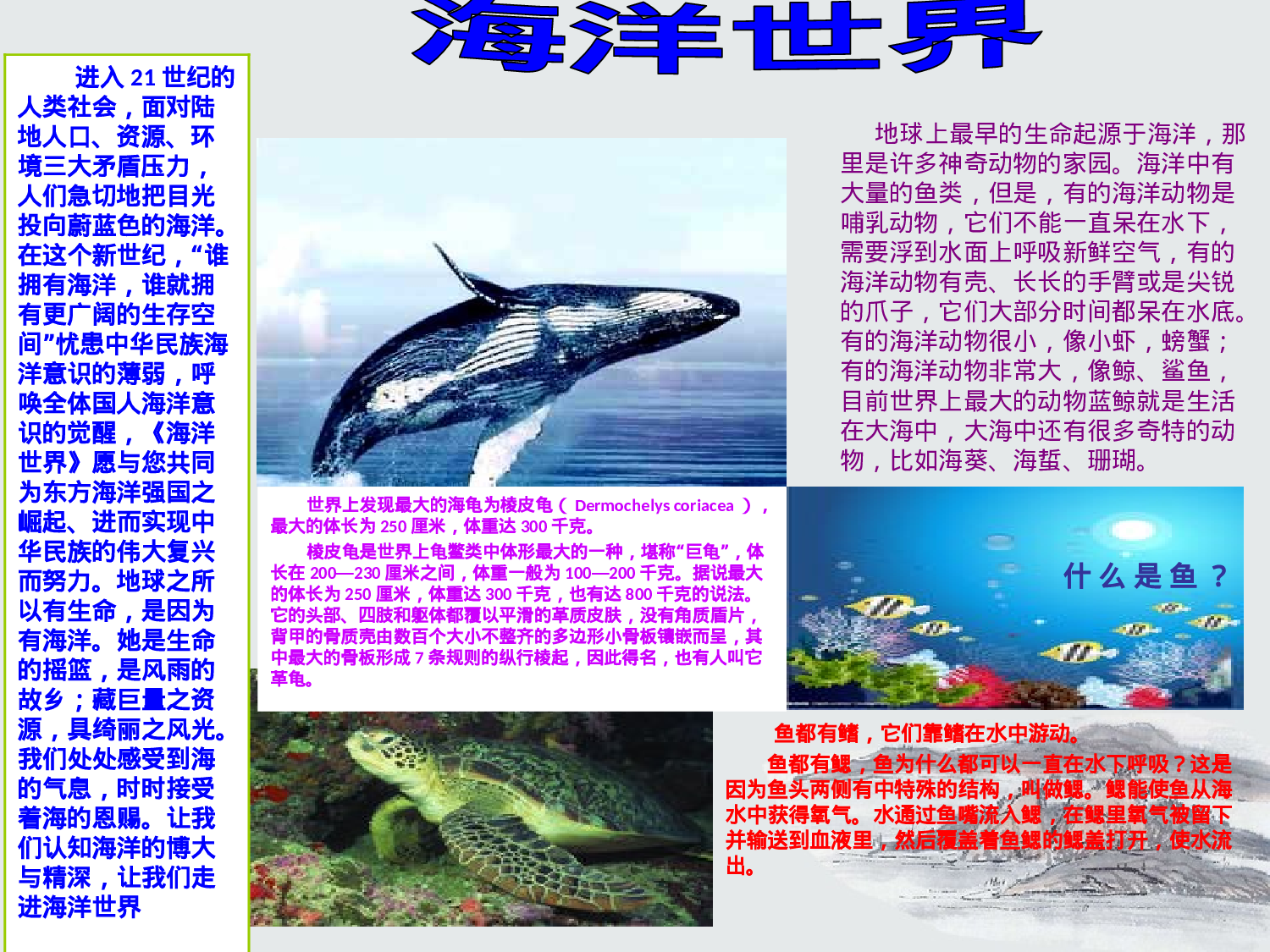 初中年级板报-4a98f77d3044.ppt 第1页