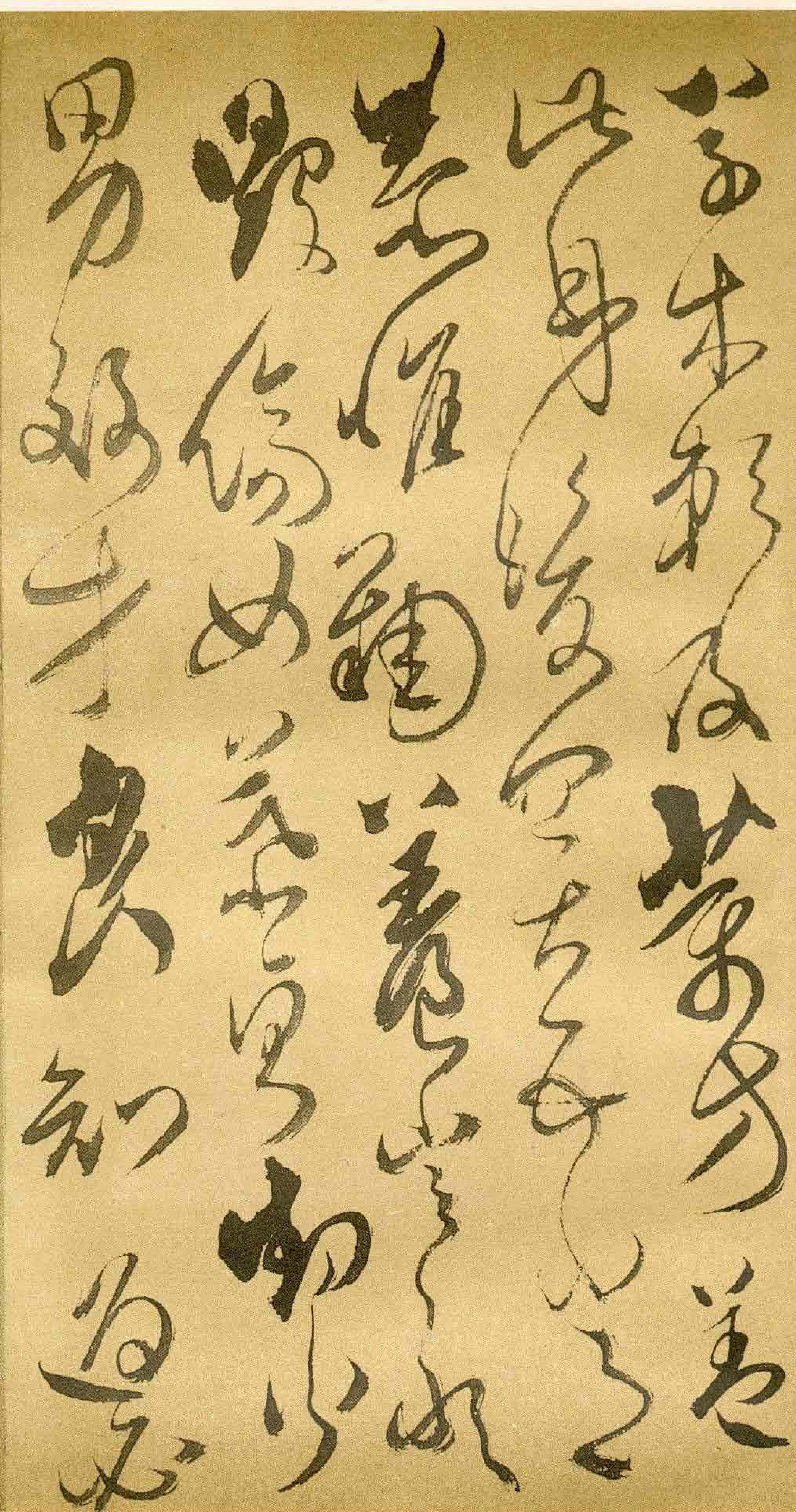 复件 (清)傅山草书千字文.pdf 第6页