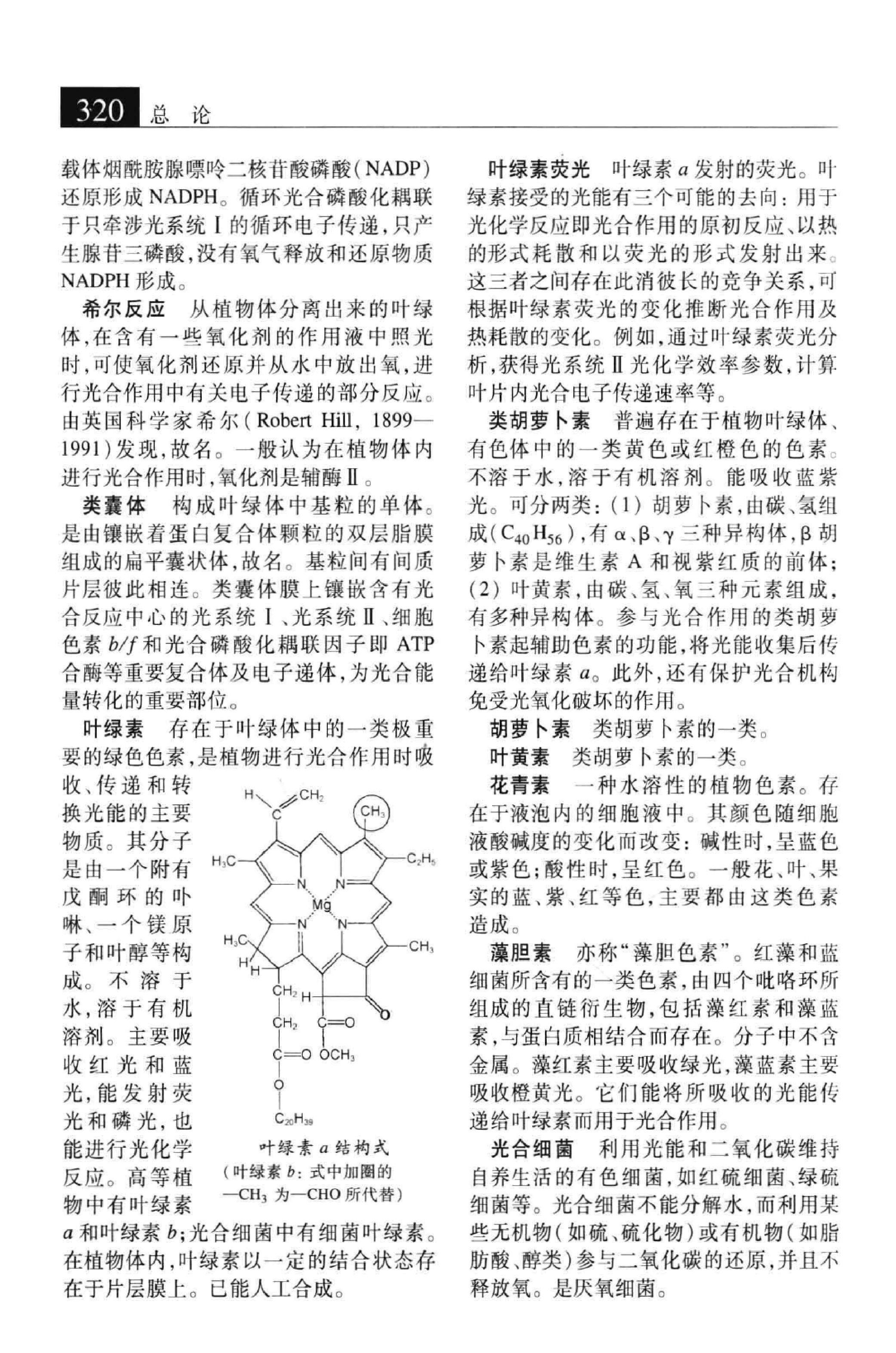 大辞海：生命科学卷_3.pdf 第5页