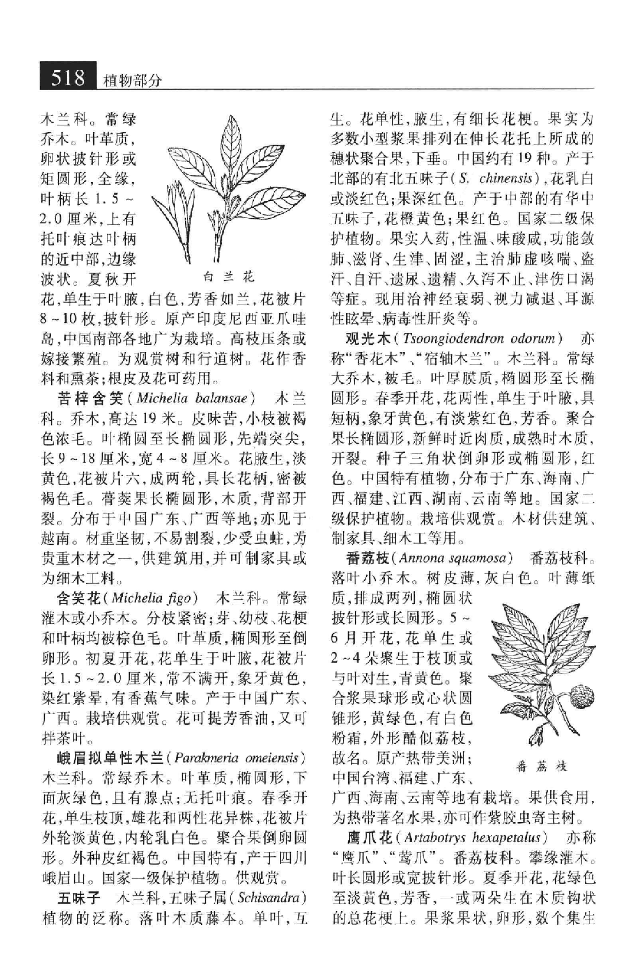 大辞海：生命科学卷_4.pdf 第3页