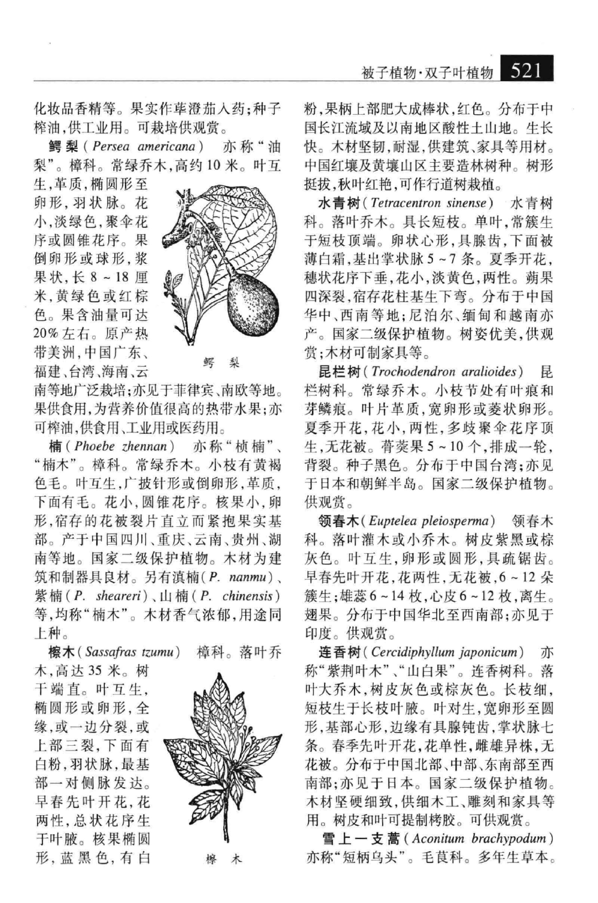 大辞海：生命科学卷_4.pdf 第6页