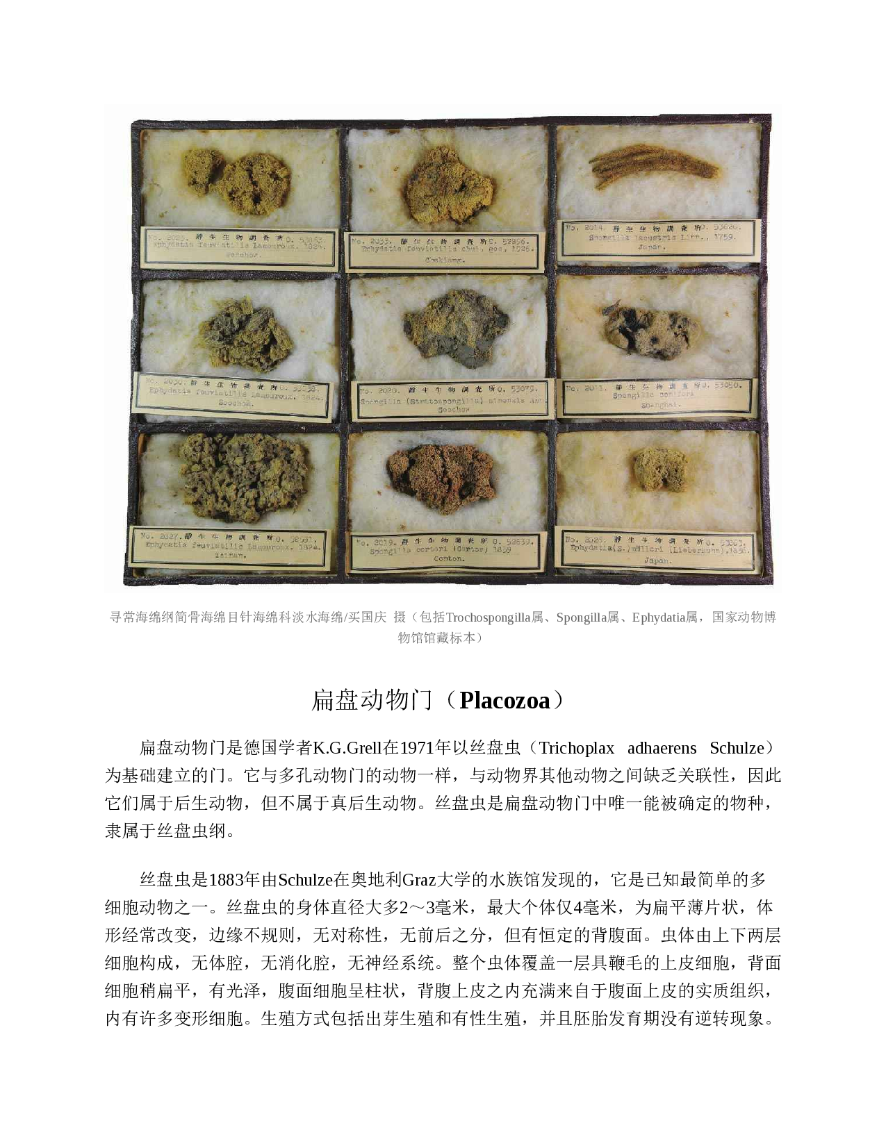 国家动物博物馆馆藏珍品野生动物保护科普丛书_4.pdf 第6页