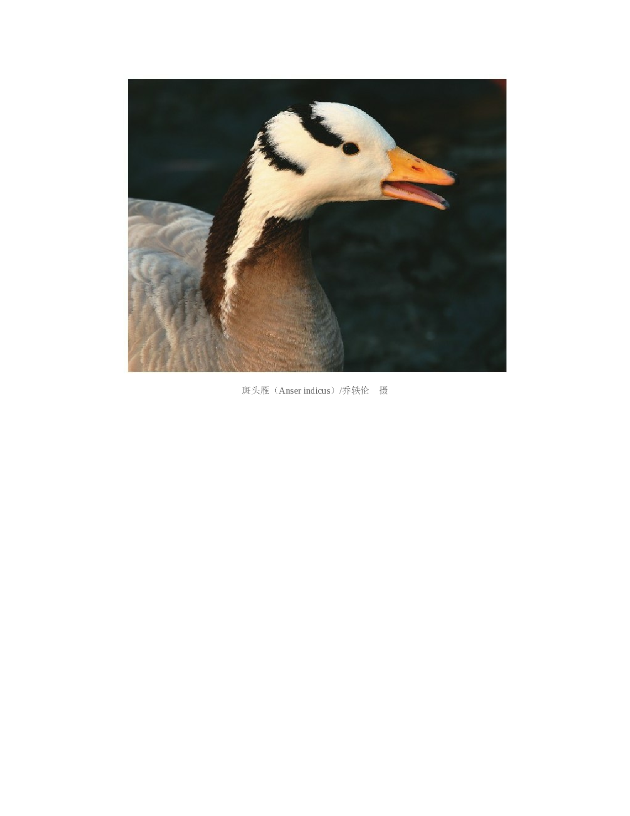 国家动物博物馆馆藏珍品野生动物保护科普丛书_2.pdf 第1页