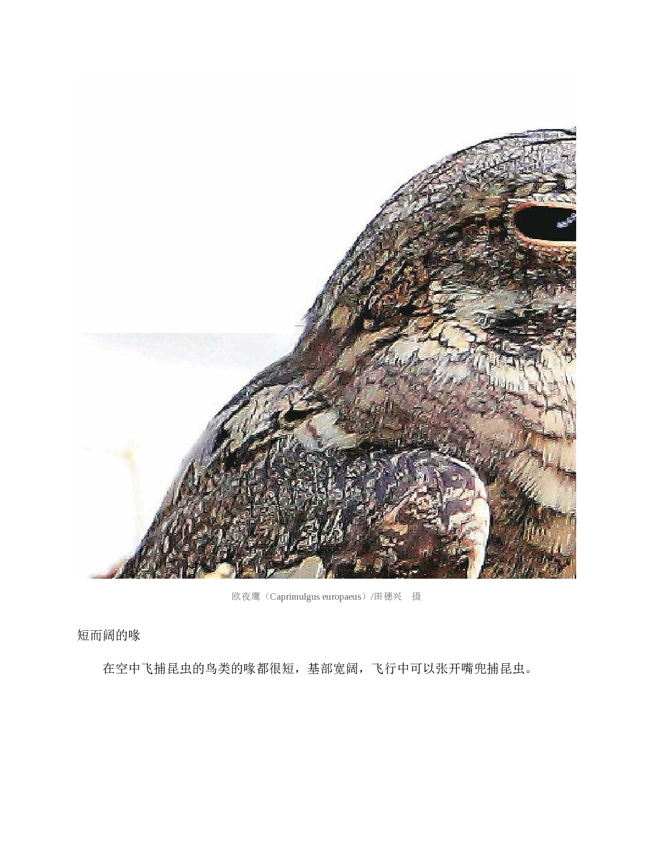 国家动物博物馆馆藏珍品野生动物保护科普丛书_2.pdf 第2页