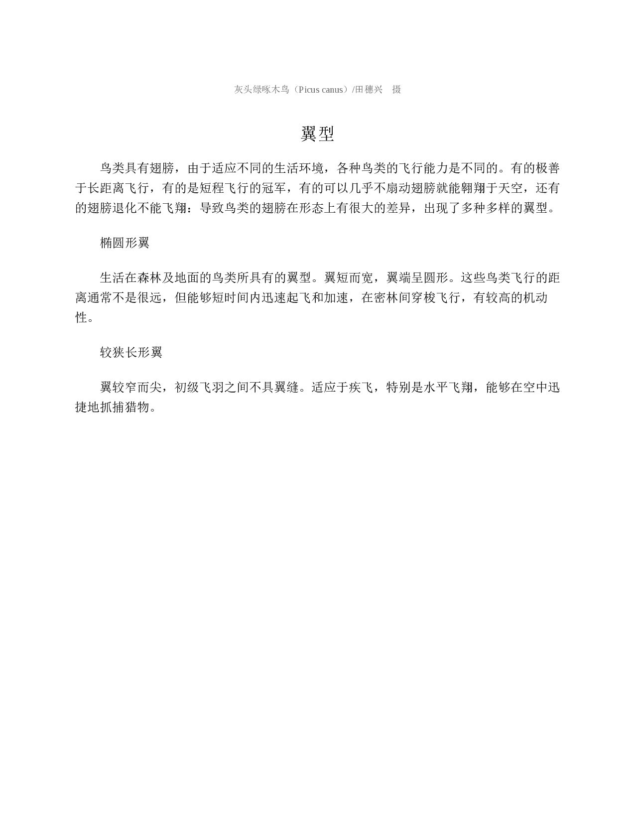 国家动物博物馆馆藏珍品野生动物保护科普丛书_2.pdf 第6页