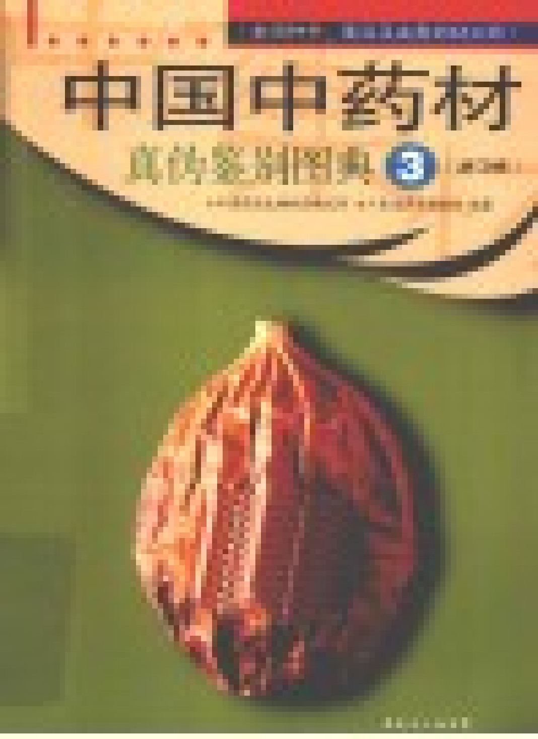 中国中药材真伪鉴别图典 3 常用种子、果实及皮类药材分册 第3版.pdf 第2页