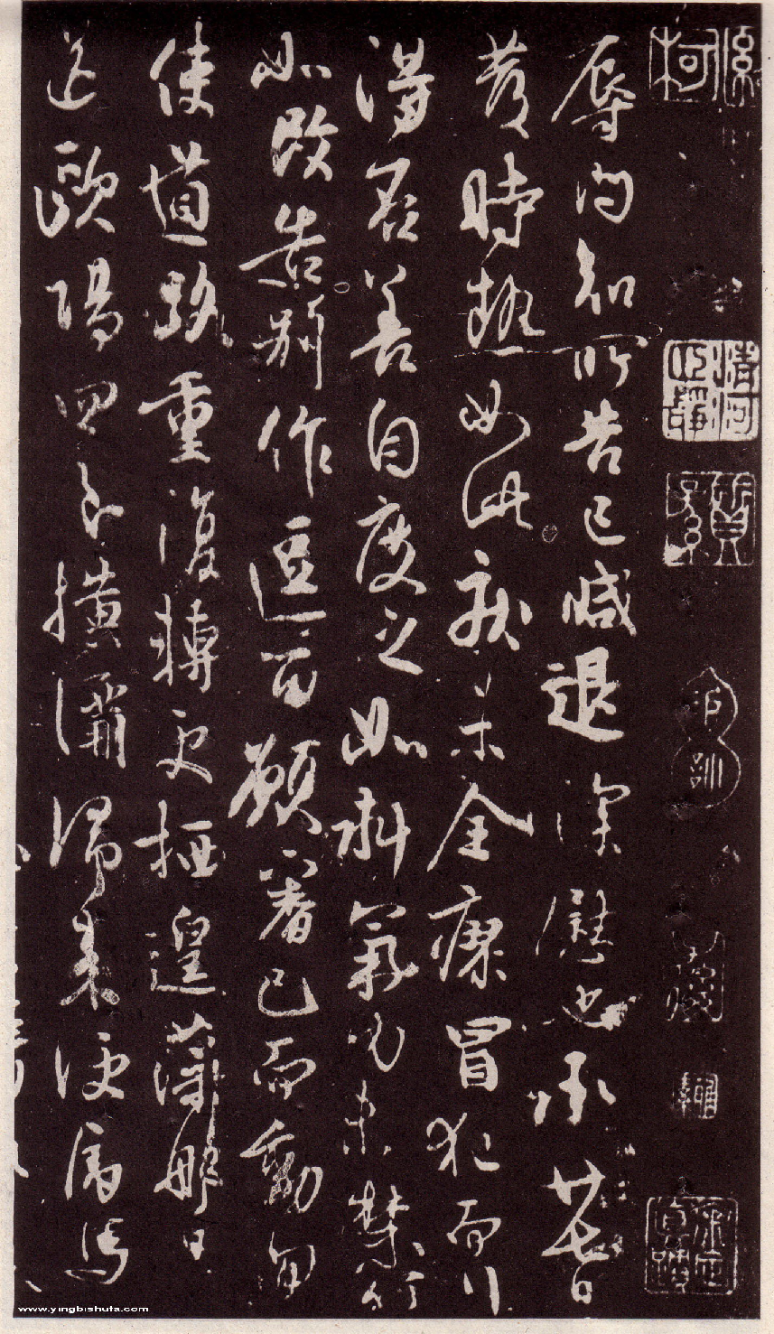 (唐)林藻草书深慰帖.pdf 第1页