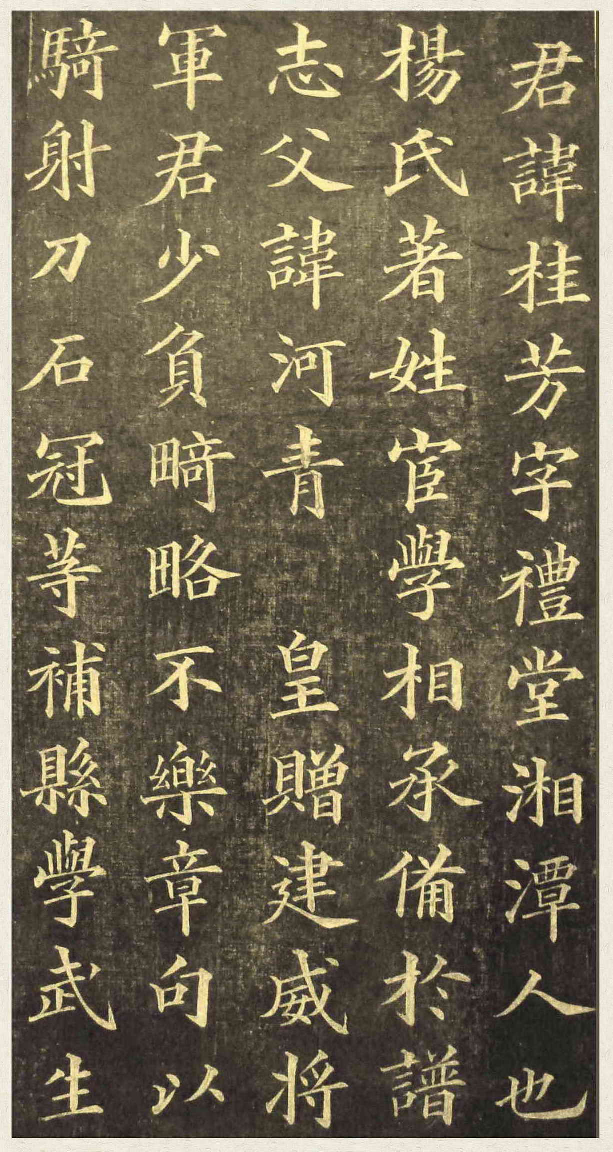 (清)黄自元楷书杨桂芳墓志铭.pdf 第4页