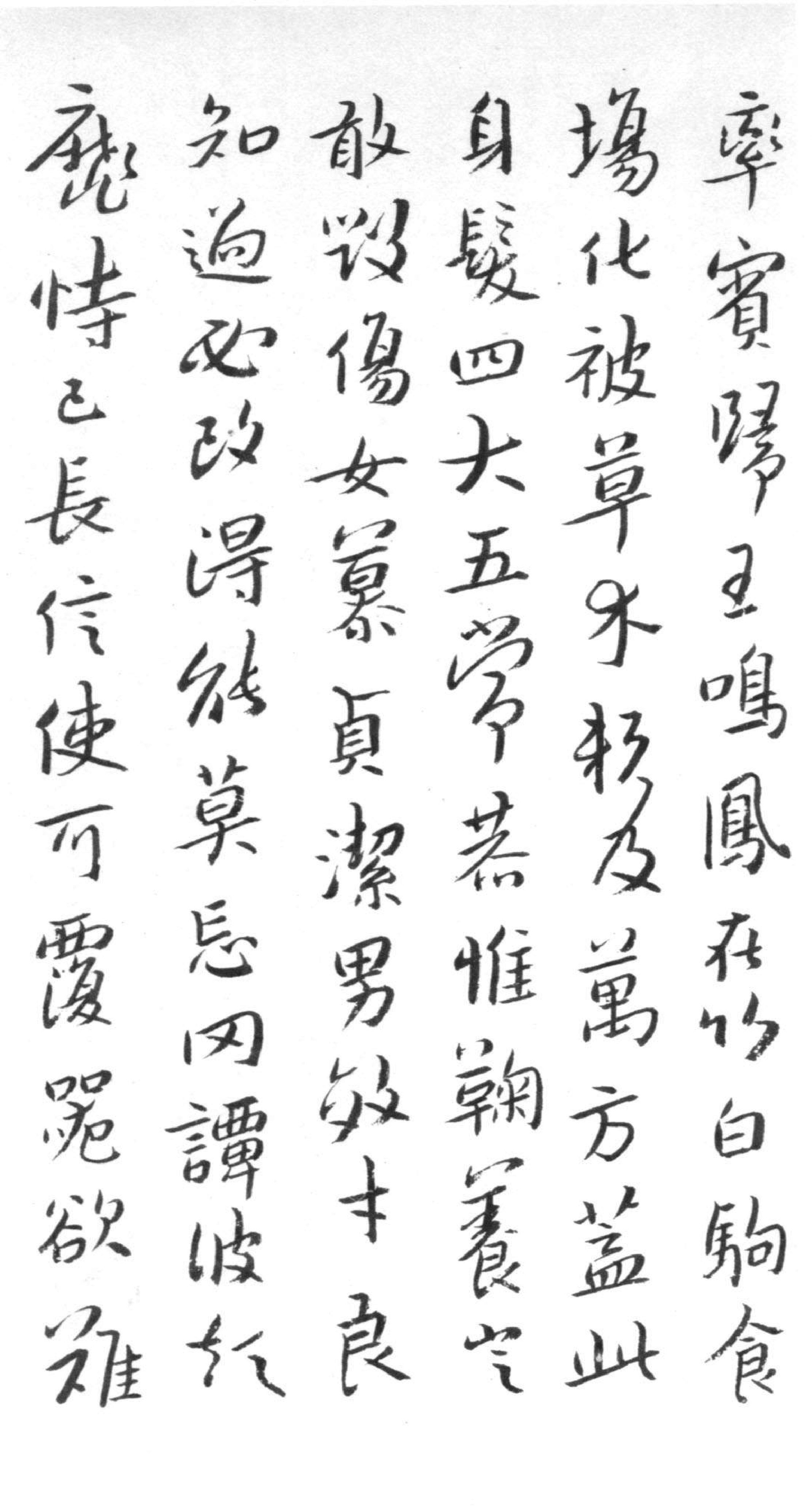 (明)朱耷(八大山人)行书千字文.pdf 第3页