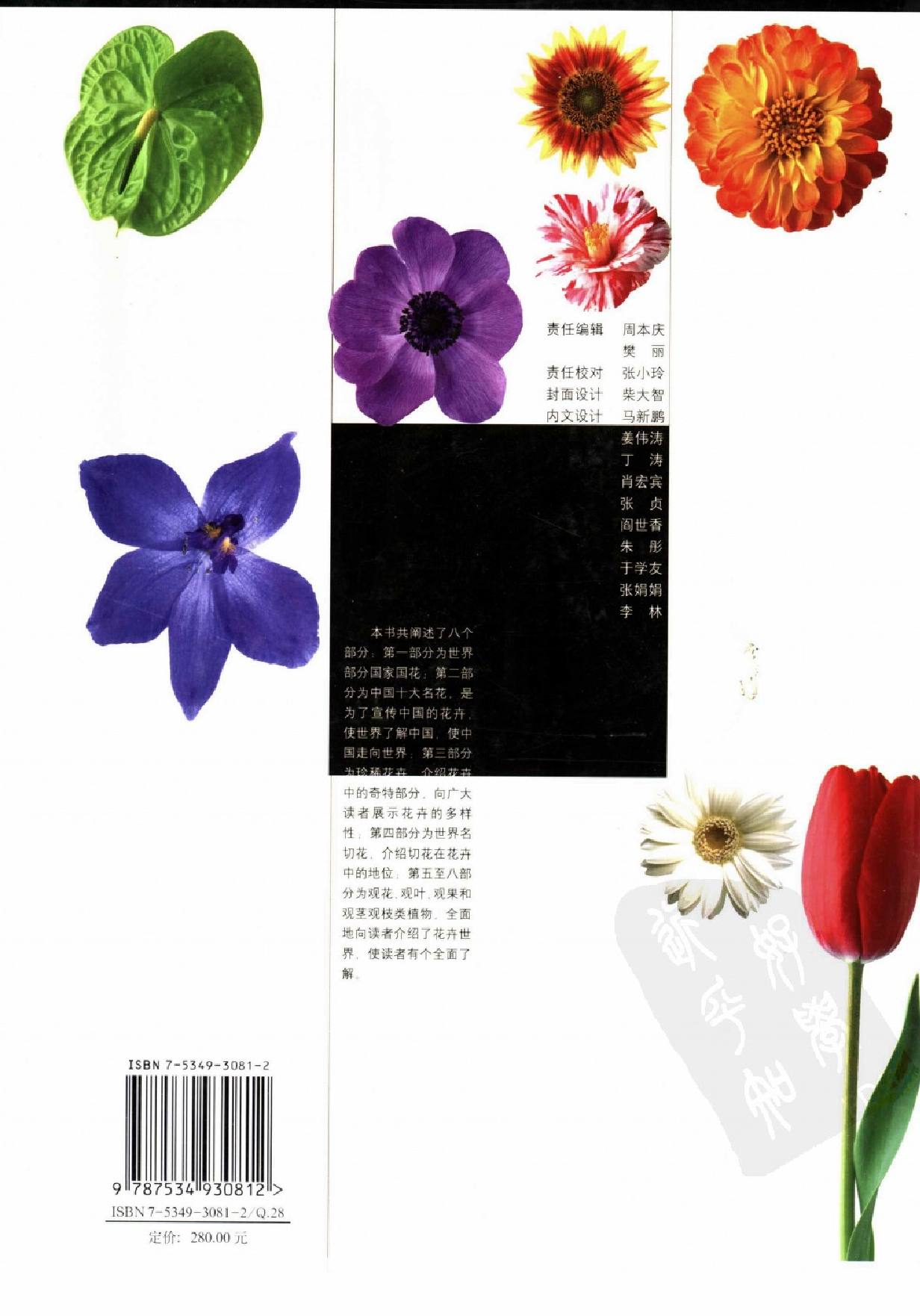 《世界名花鉴赏图谱》金波.pdf 第2页