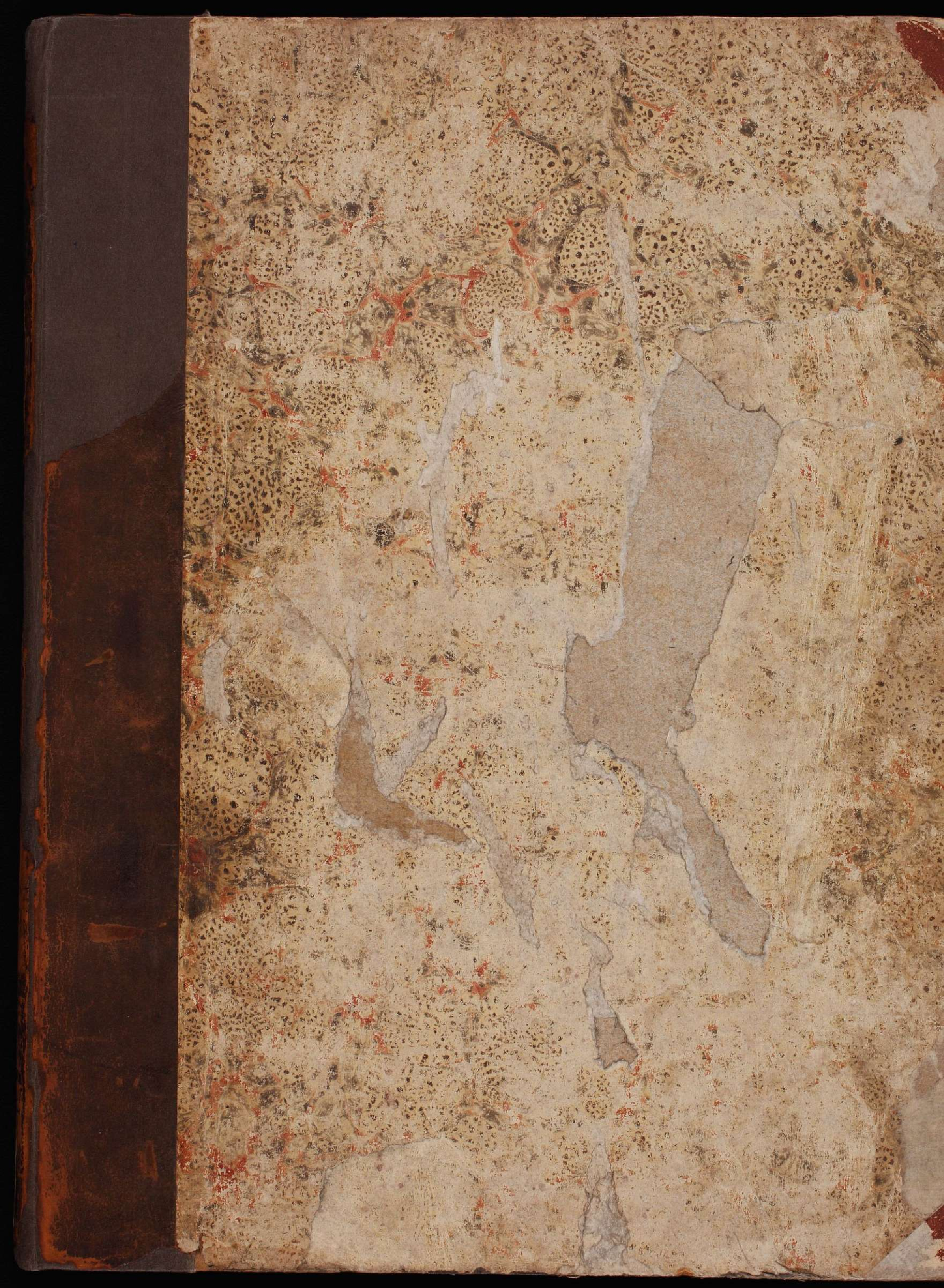 彩绘鸟类版画新集1838年.pdf 第1页