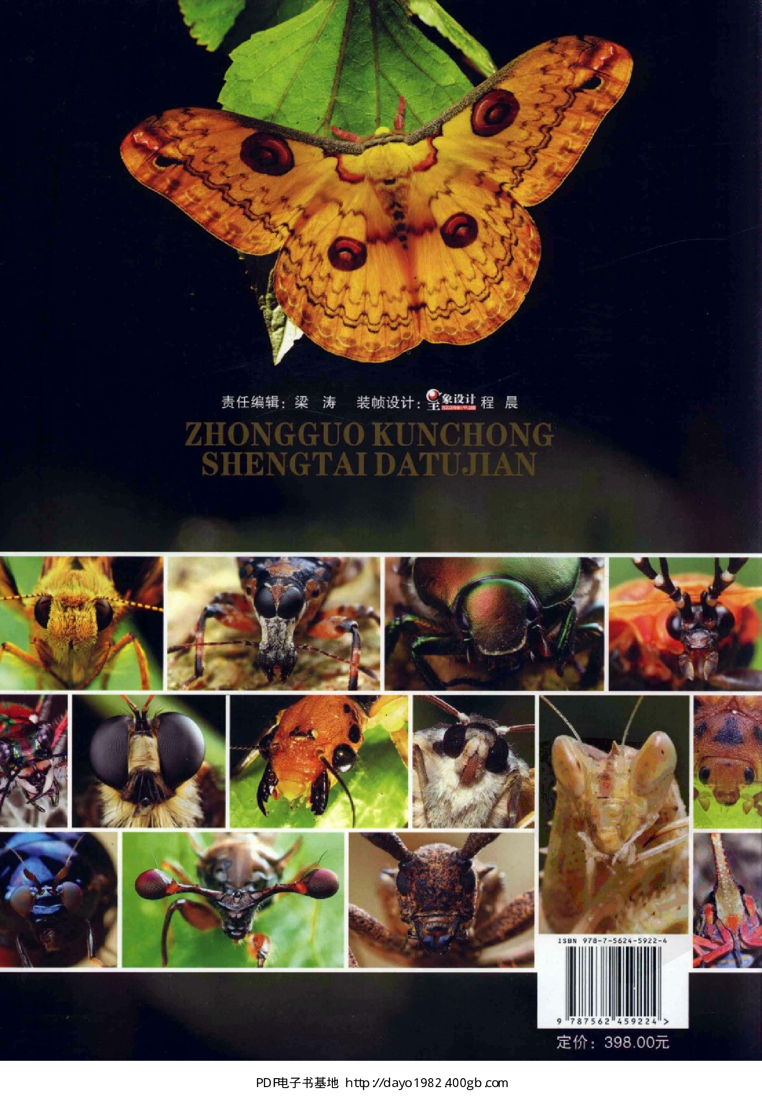 [中国昆虫生态大图鉴].张巍巍.全彩版.pdf 第2页