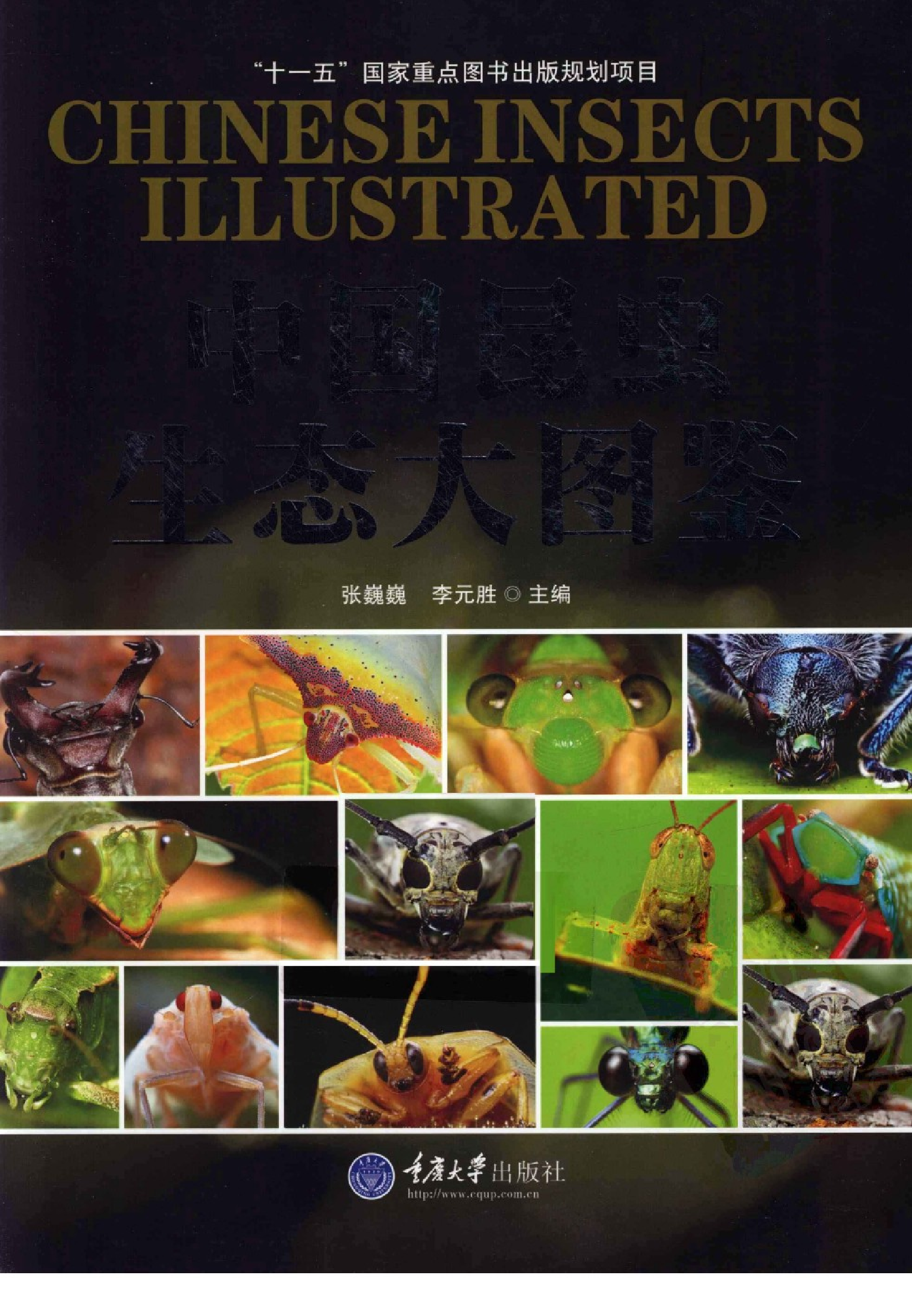 [中国昆虫生态大图鉴].全彩版.pdf 第1页