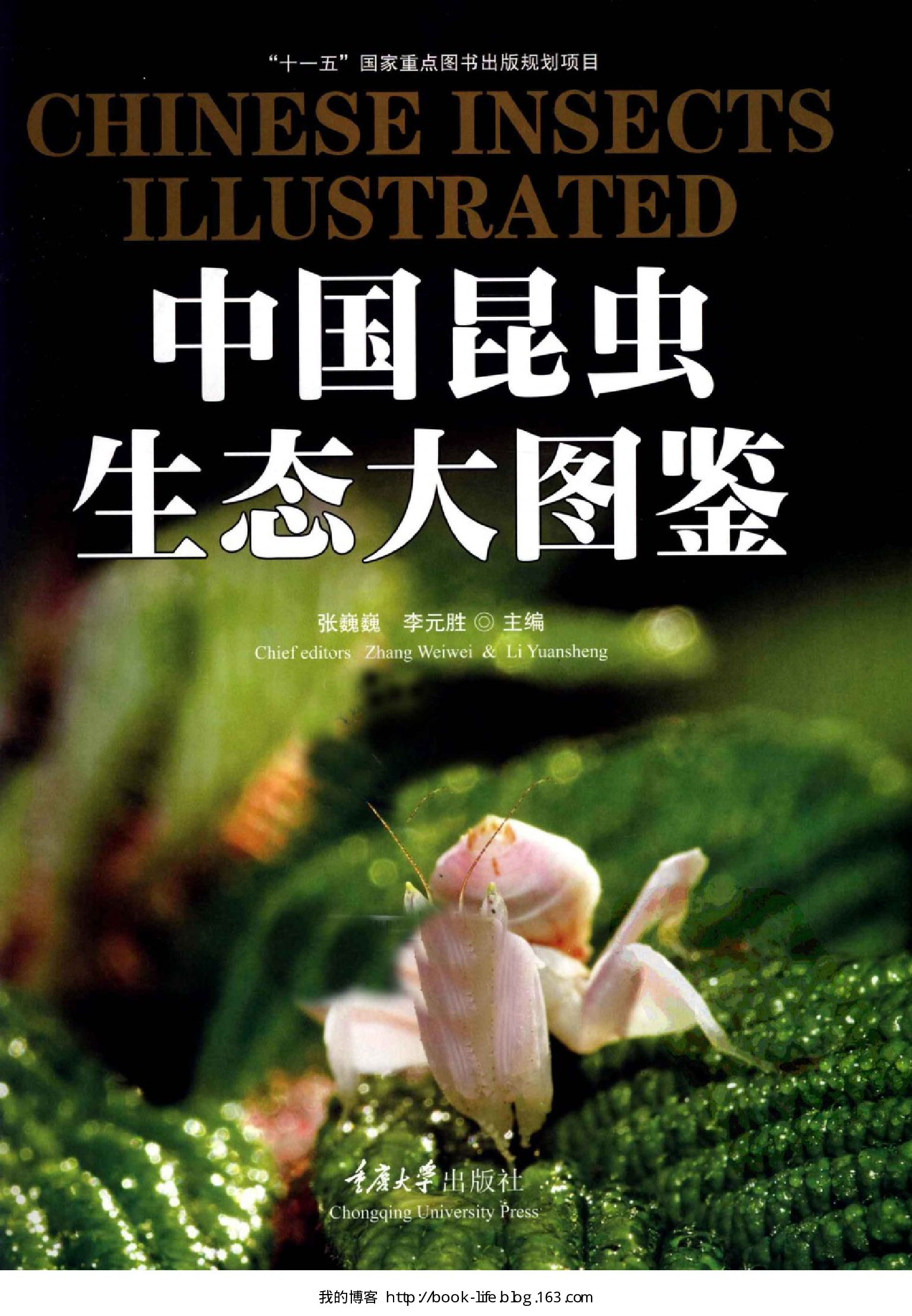 [中国昆虫生态大图鉴].全彩版.pdf 第3页