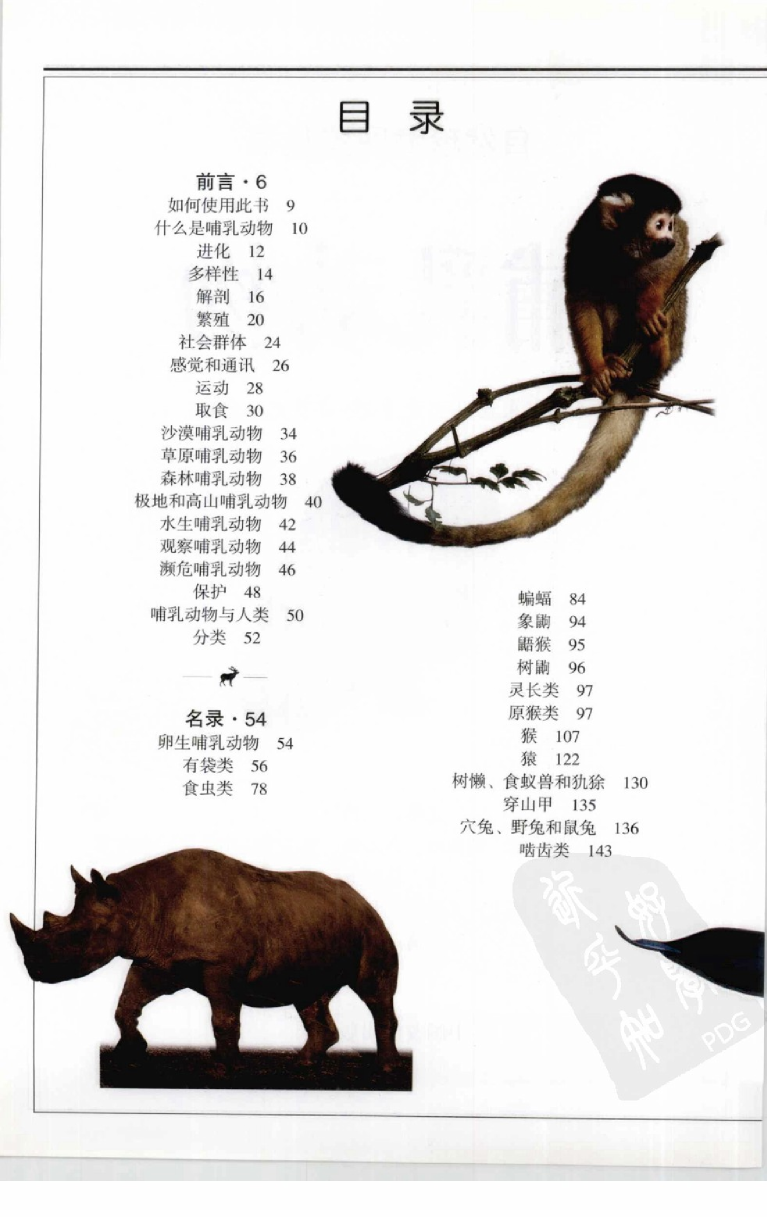 哺乳动物 全世界450多种哺乳动物的彩色图鉴.pdf 第6页