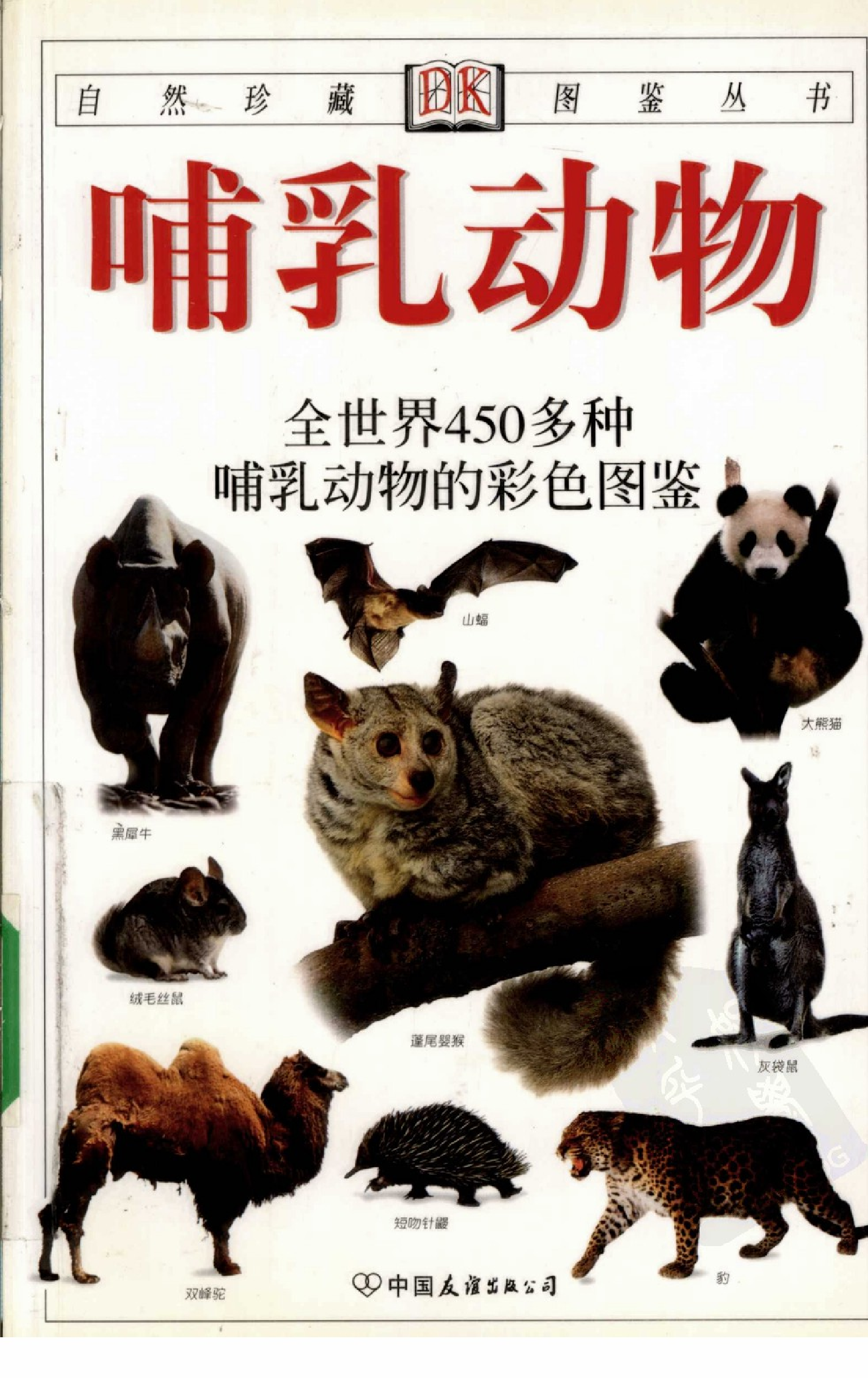 [哺乳动物 全世界450多种哺乳动物的彩色图鉴].王德华.全彩图.pdf 第1页