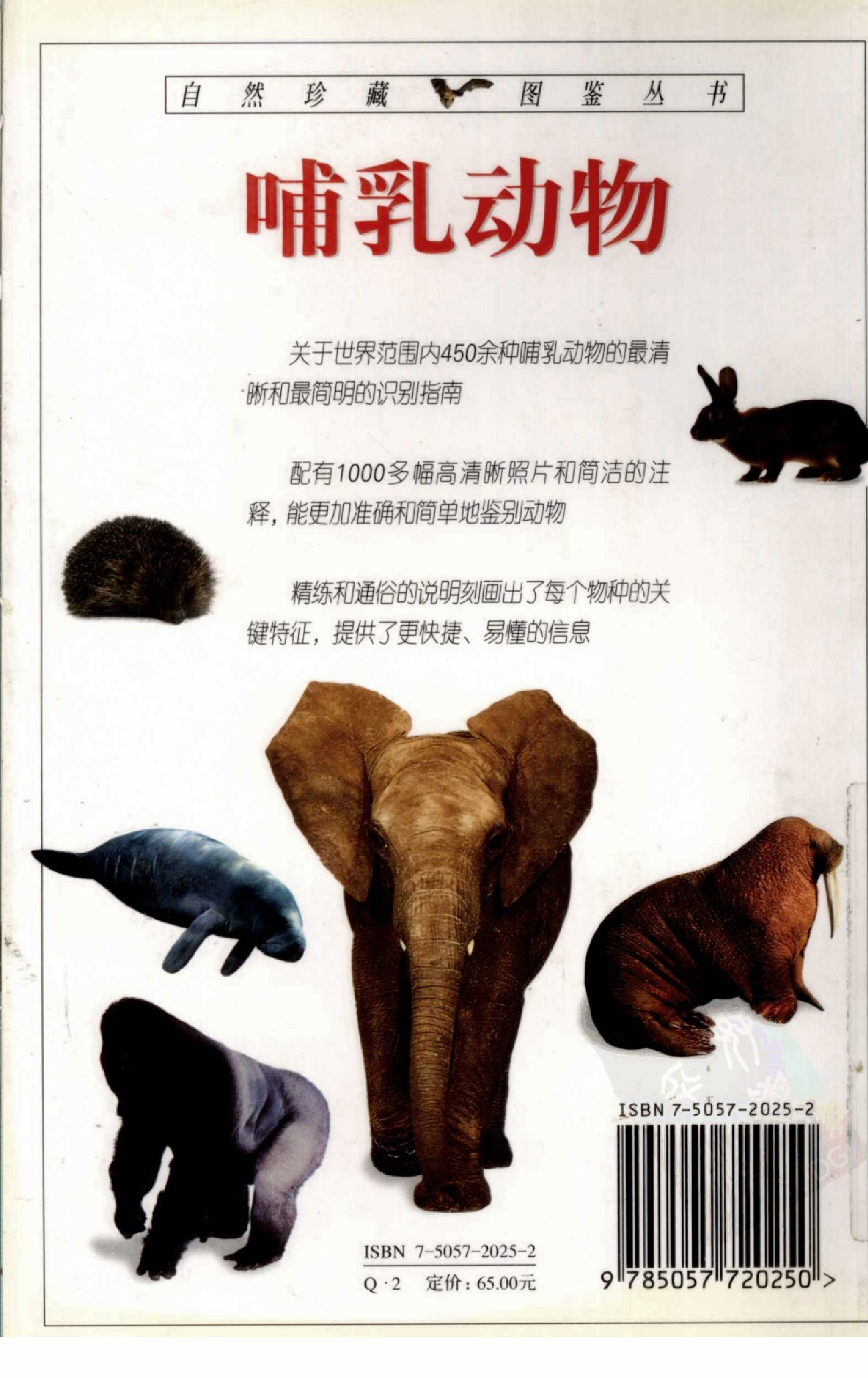 [哺乳动物 全世界450多种哺乳动物的彩色图鉴].王德华.全彩图.pdf 第2页