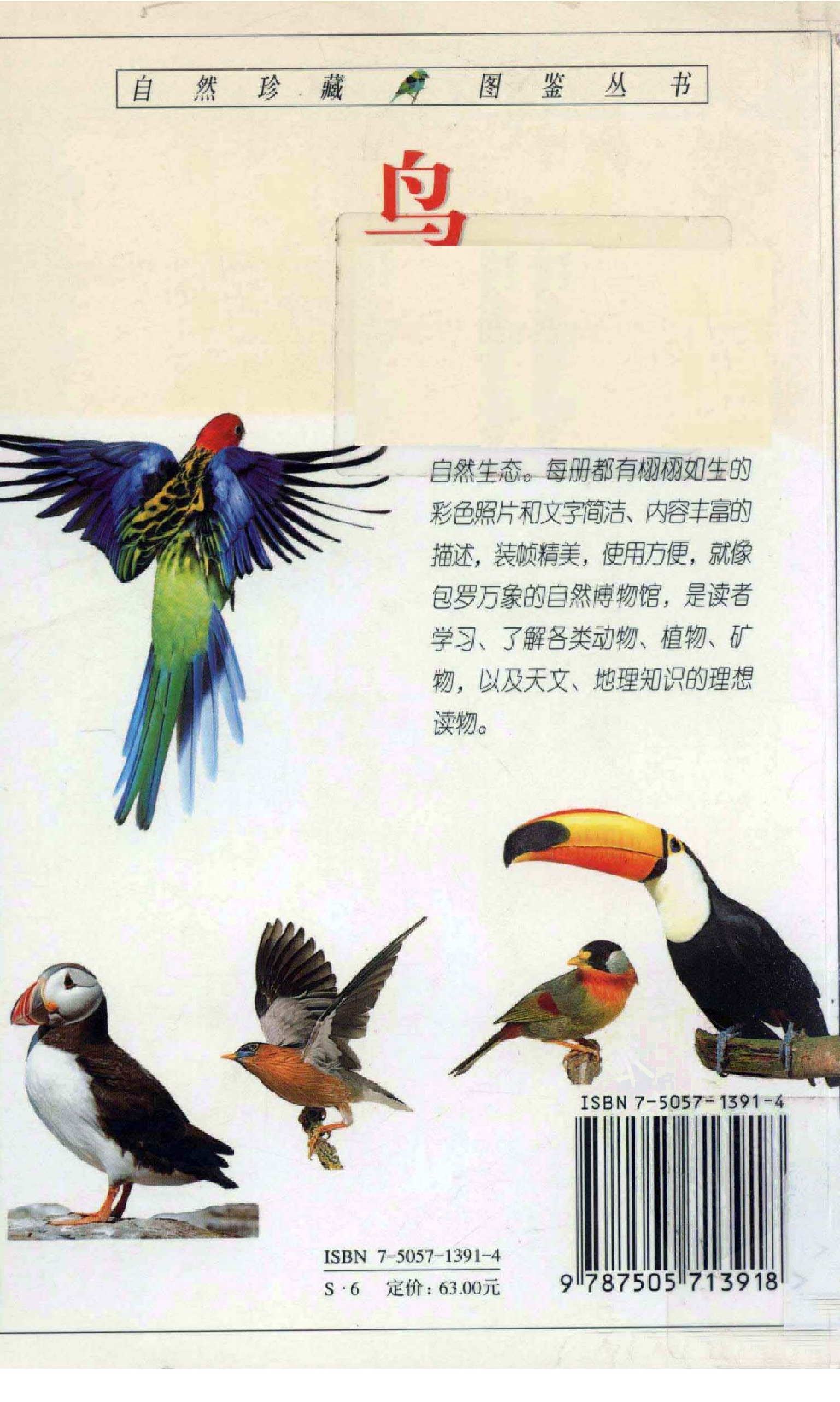 自然珍藏图鉴丛书·鸟：全世界800多种鸟的彩色图鉴.PDF 第3页