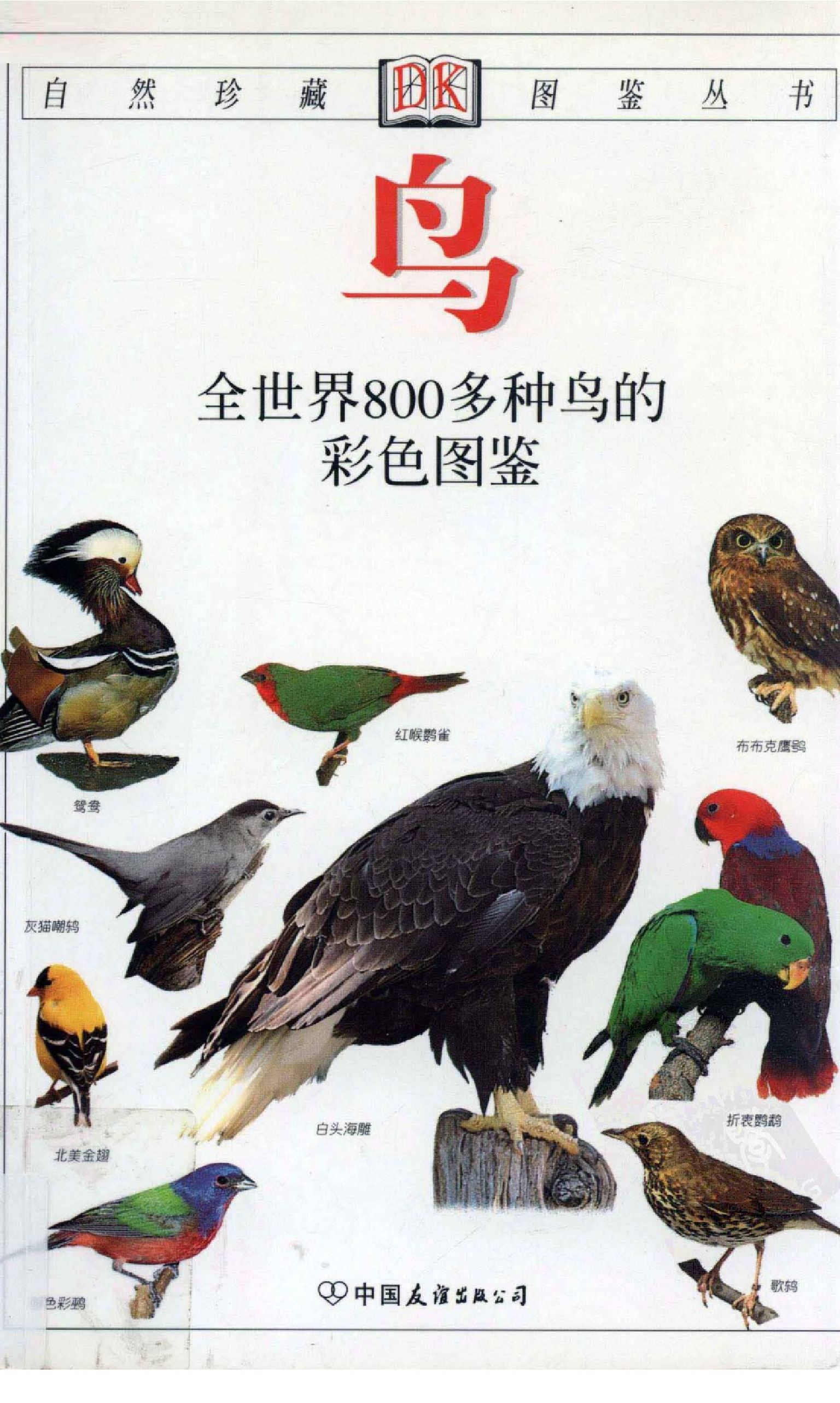 [鸟：全世界800多种鸟的彩色图鉴].科林-哈里森.全彩版.PDF 第1页