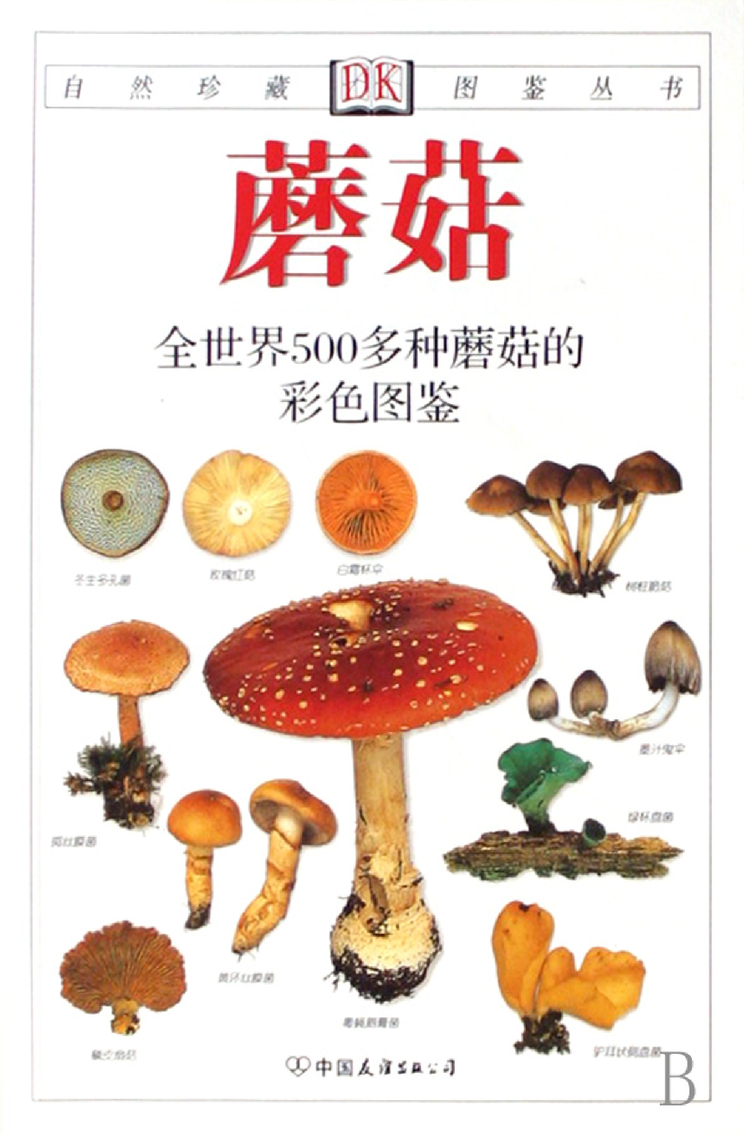 自然珍藏图鉴丛书·蘑菇：全世界500多种蘑菇的彩色图鉴.PDF 第1页