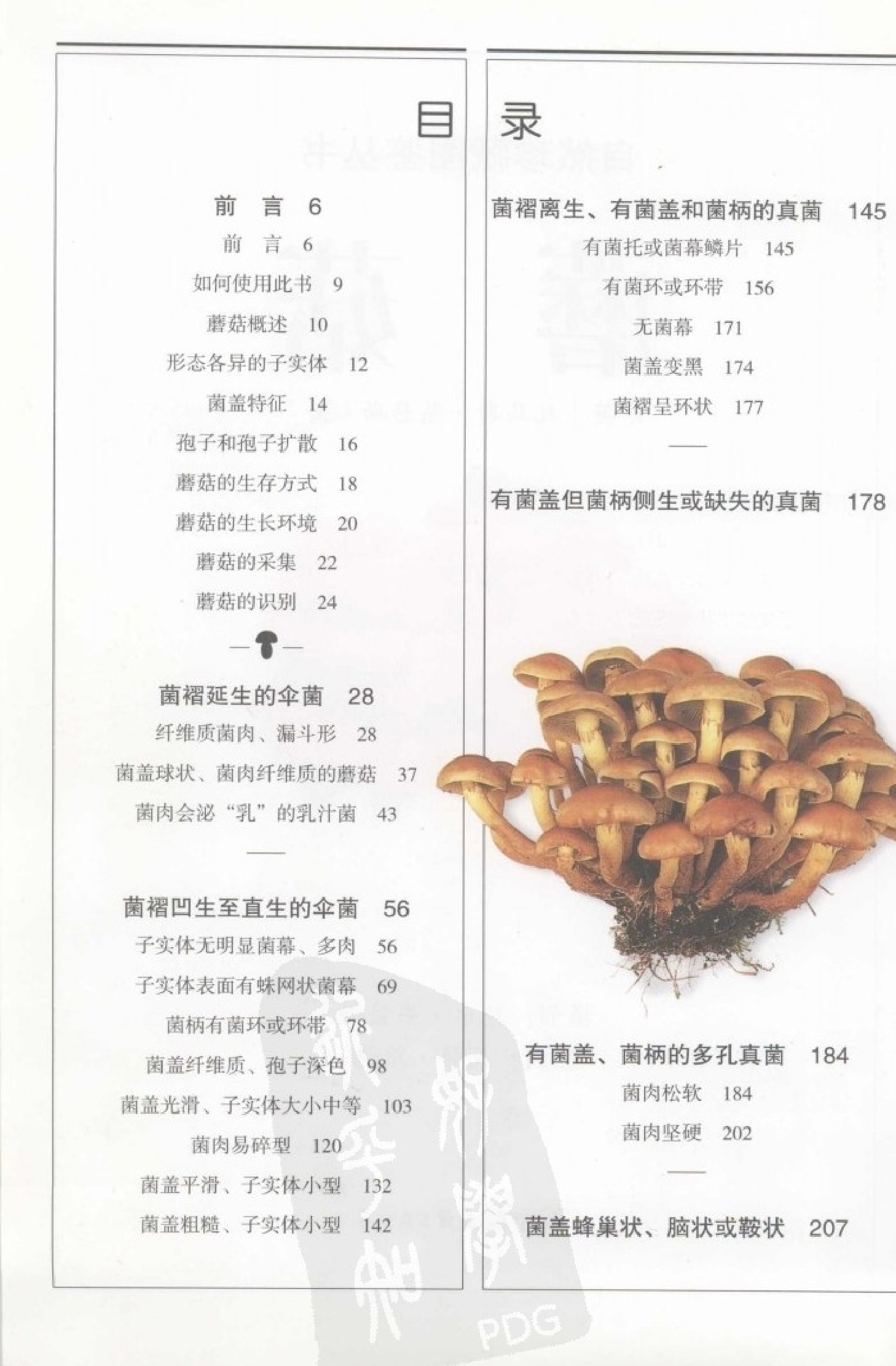 自然珍藏图鉴丛书·蘑菇：全世界500多种蘑菇的彩色图鉴.PDF 第4页