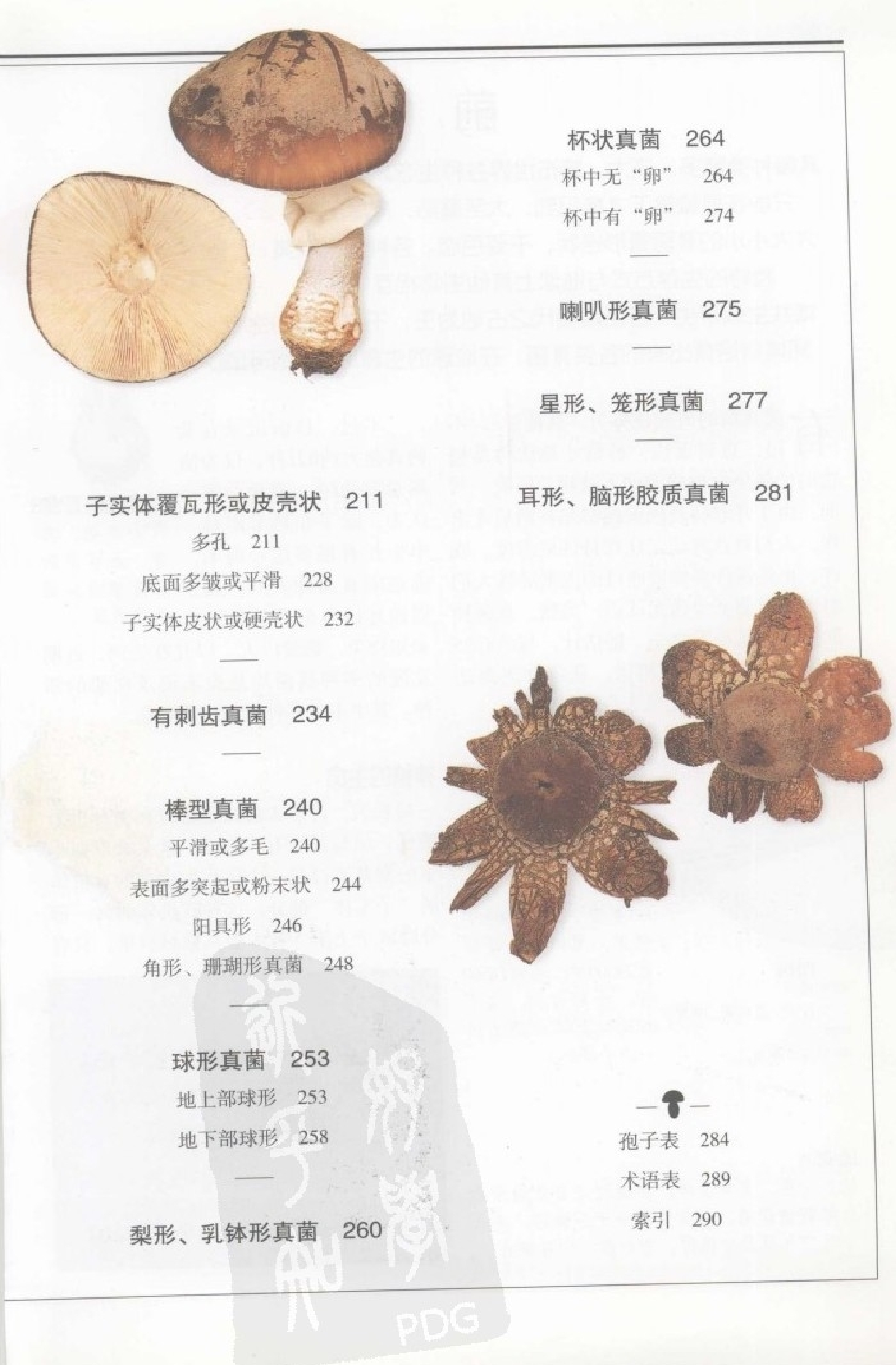 自然珍藏图鉴丛书·蘑菇：全世界500多种蘑菇的彩色图鉴.PDF 第5页