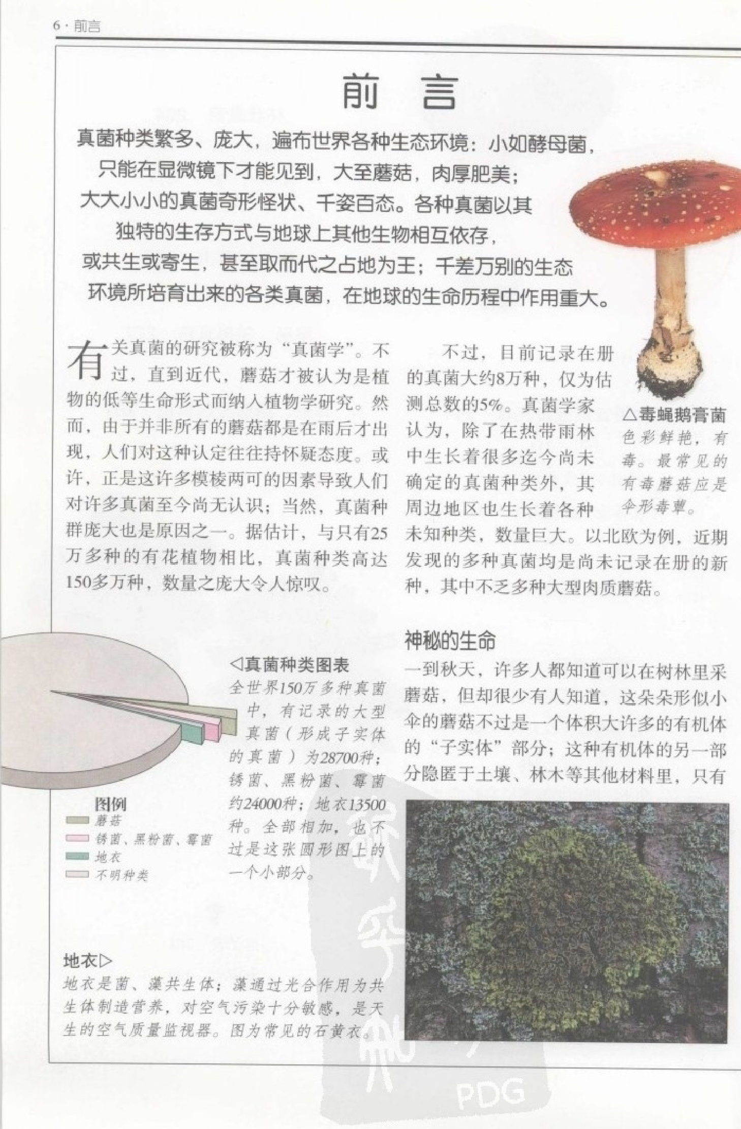 自然珍藏图鉴丛书·蘑菇：全世界500多种蘑菇的彩色图鉴.PDF 第6页