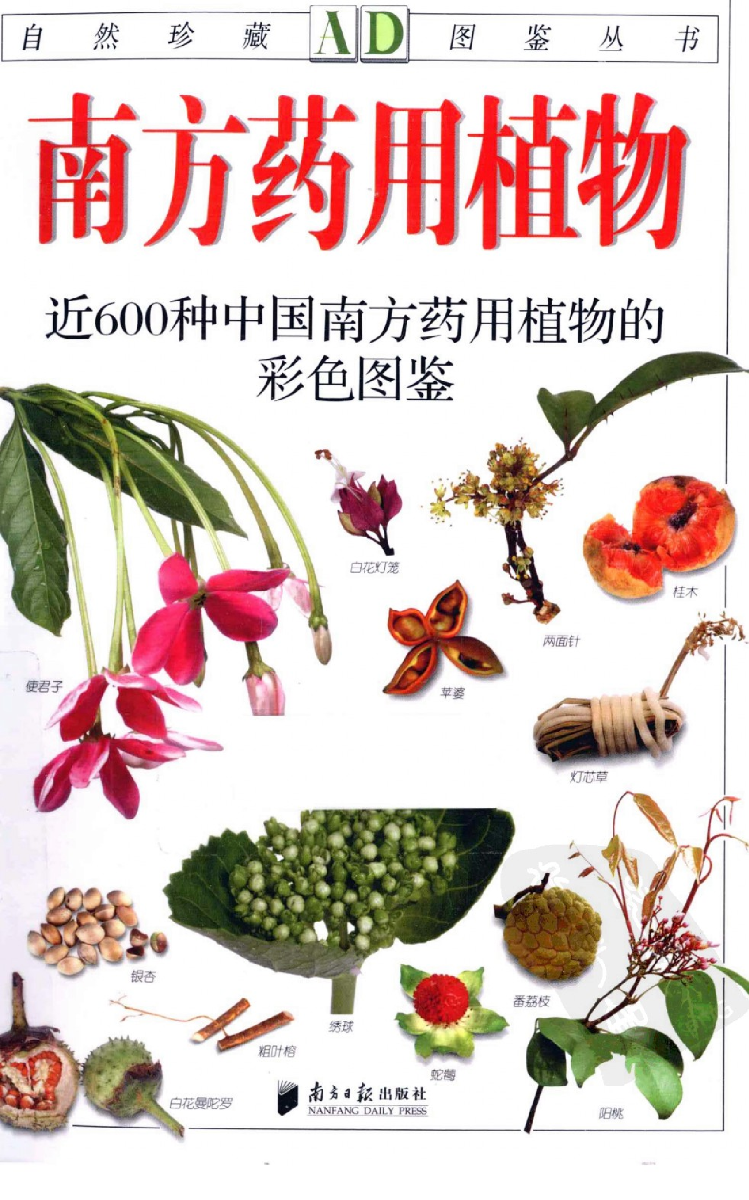 自然珍藏图鉴丛书·南方药用植物：近600种中国南方药用植物的彩色图鉴.pdf 第1页