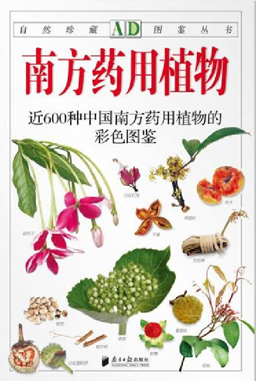 自然珍藏图鉴丛书·南方药用植物：近600种中国南方药用植物的彩色图鉴.pdf 第2页