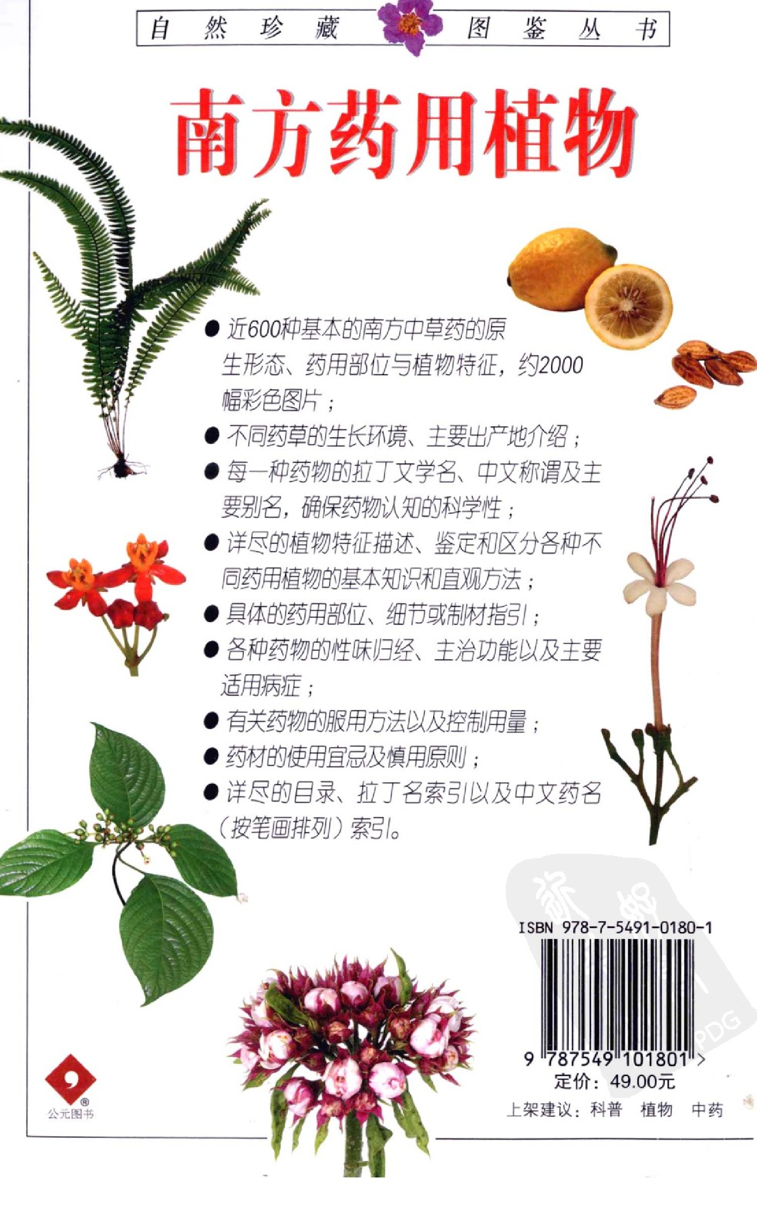 自然珍藏图鉴丛书·南方药用植物：近600种中国南方药用植物的彩色图鉴.pdf 第3页