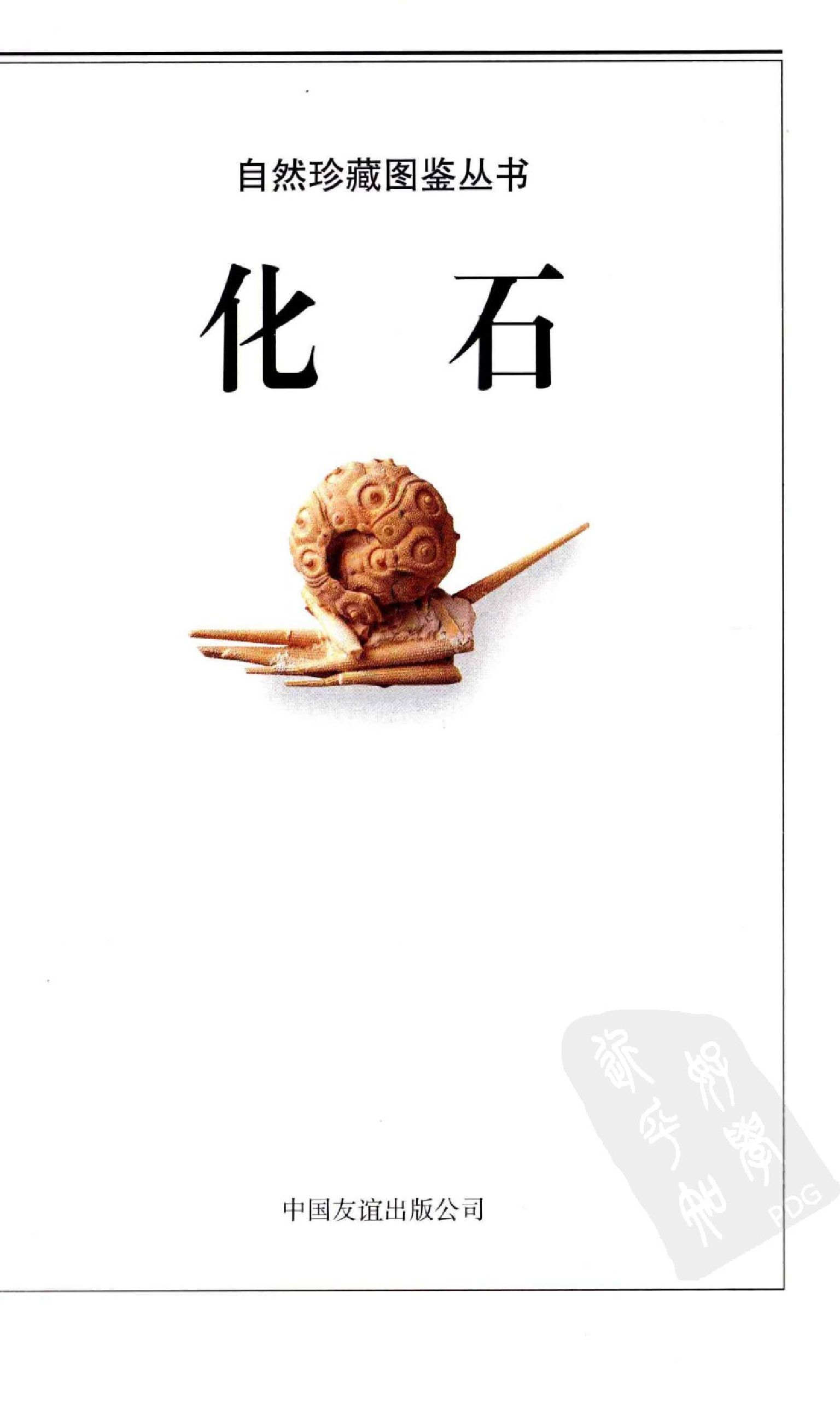 自然珍藏图鉴丛书·化石：全世界500多种化石的彩色图鉴.pdf 第3页