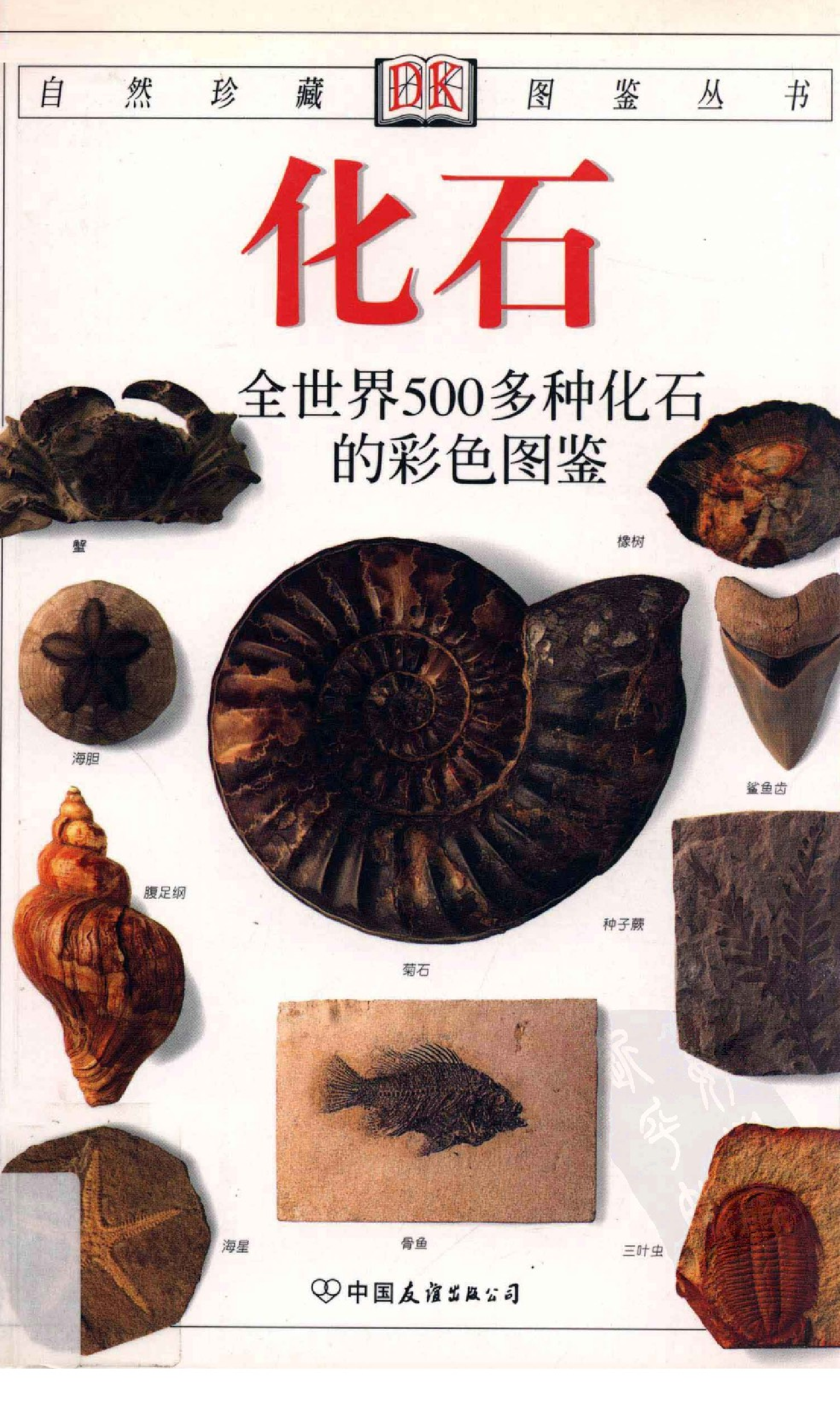 [化石：全世界500多种化石的彩色图鉴].谷视纲.全彩版.pdf 第1页