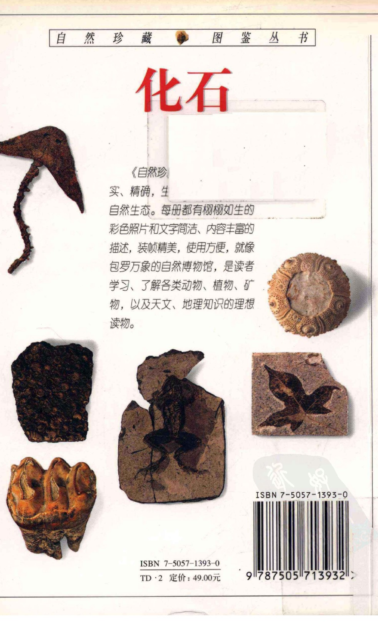 [化石：全世界500多种化石的彩色图鉴].谷视纲.全彩版.pdf 第2页