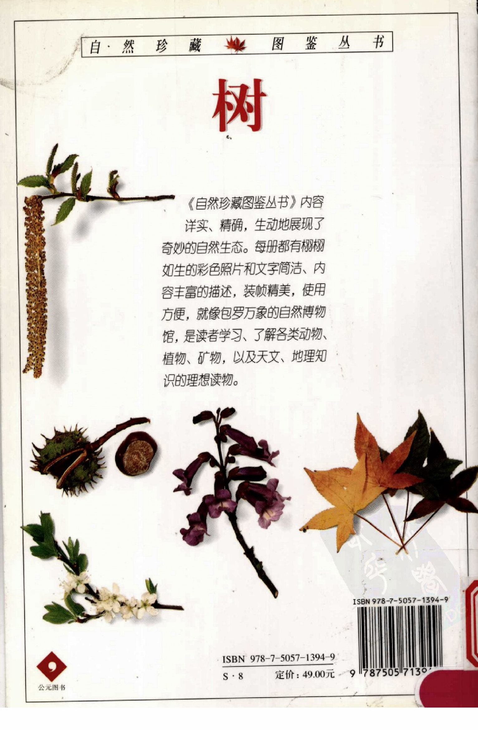 自然珍藏图鉴丛书·树：全世界500多种树木的彩色图鉴.pdf 第3页