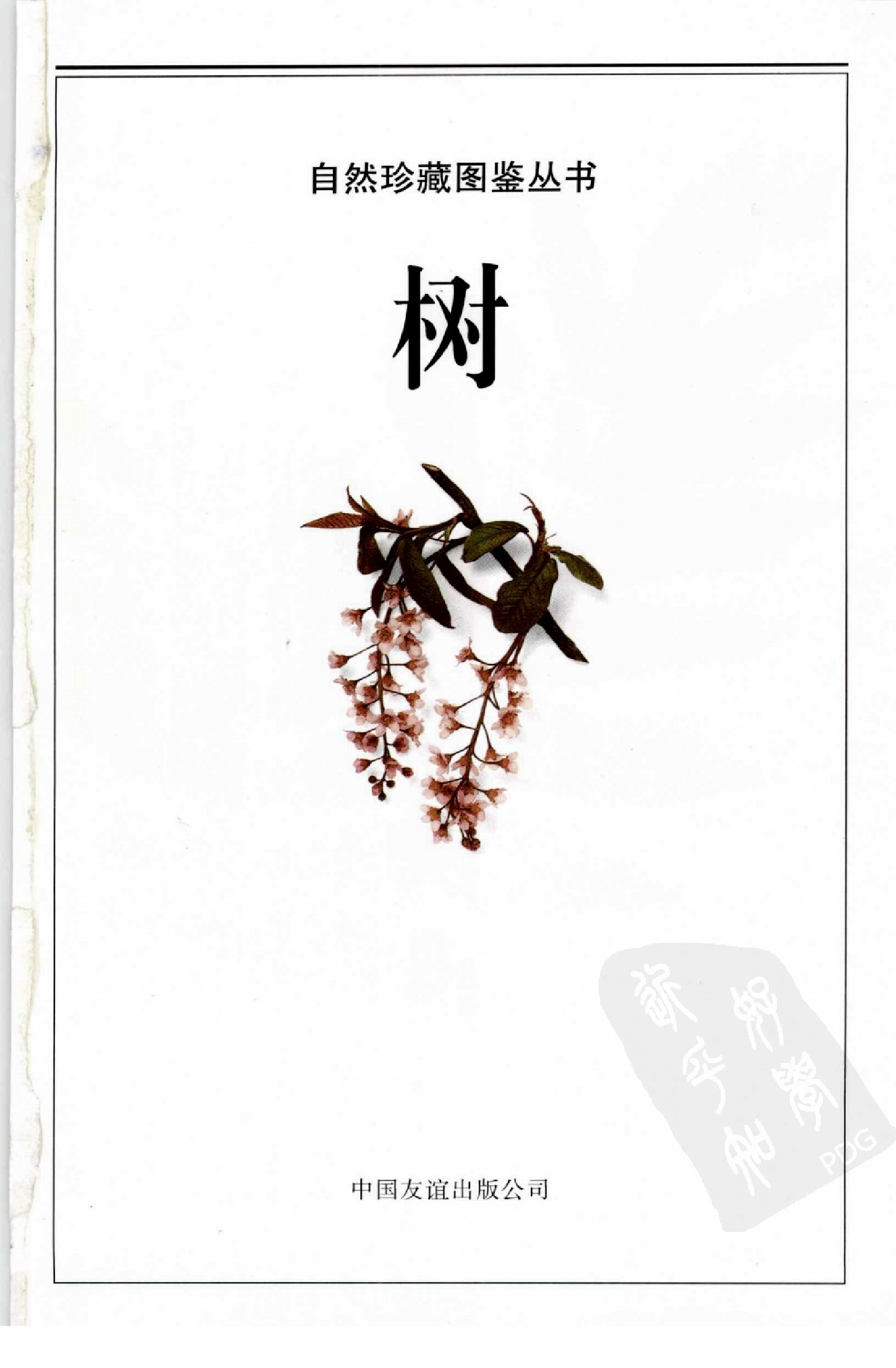 自然珍藏图鉴丛书·树：全世界500多种树木的彩色图鉴.pdf 第4页