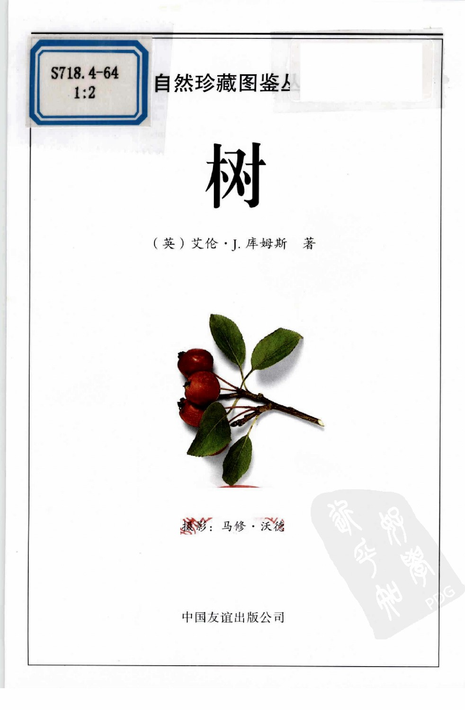 [树木图鉴].pdf 第6页