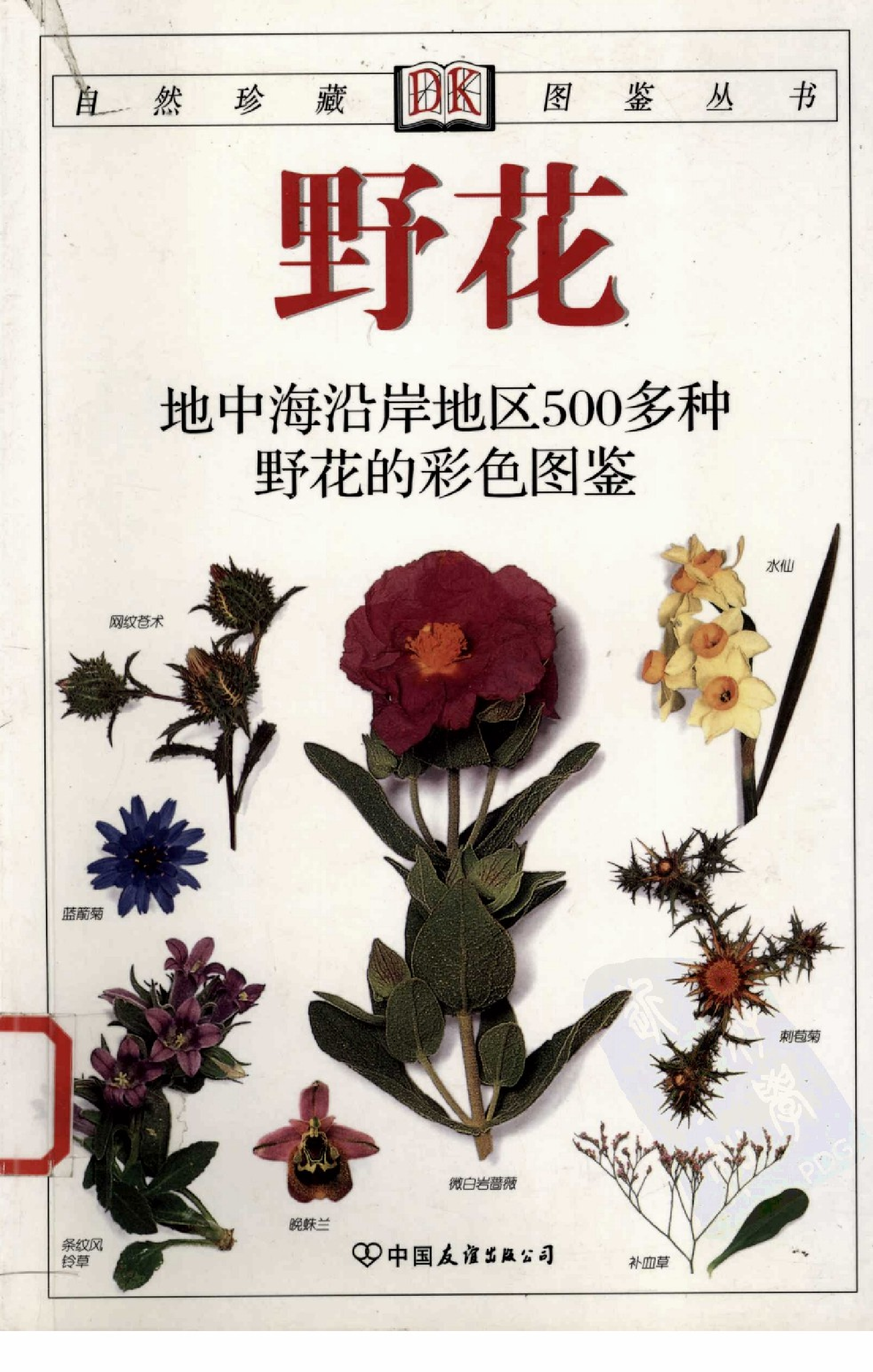 自然珍藏图鉴丛书·野花：地中海沿岸地区500多种野花的彩色图鉴.pdf 第1页