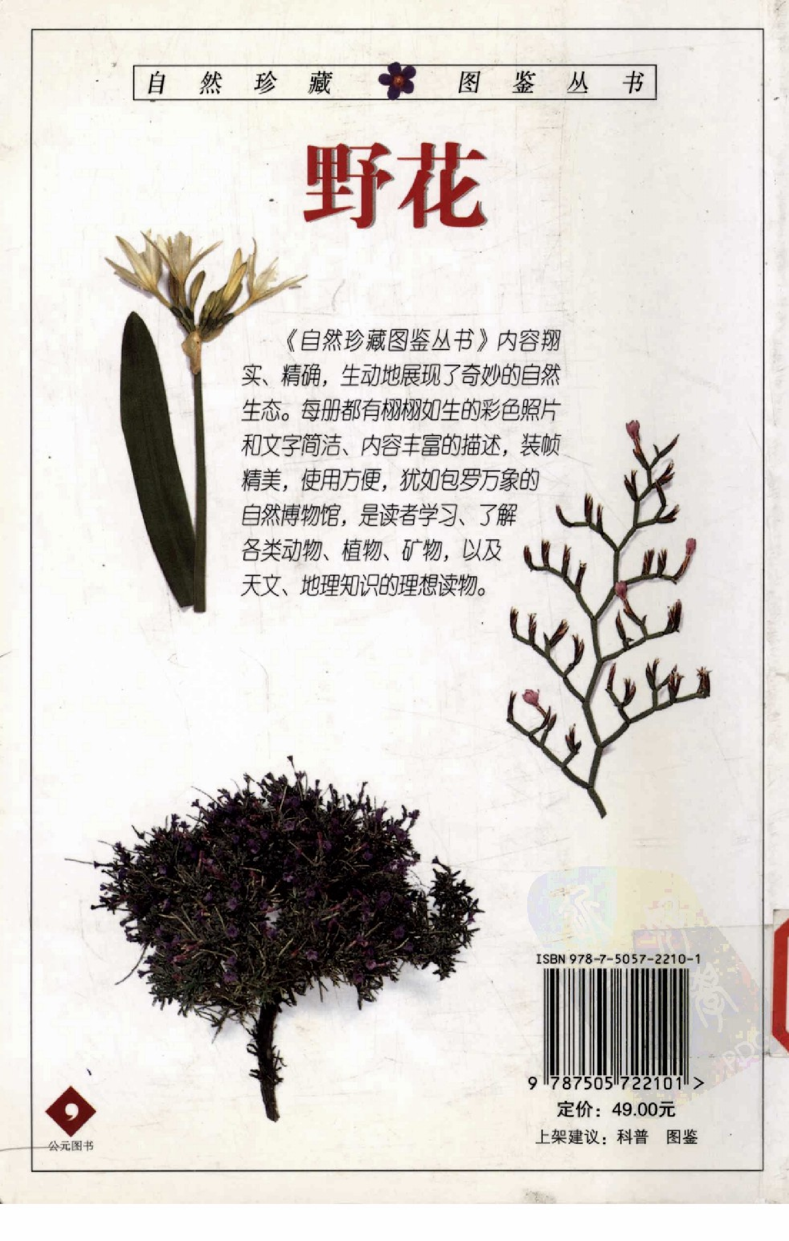 自然珍藏图鉴丛书·野花：地中海沿岸地区500多种野花的彩色图鉴.pdf 第2页