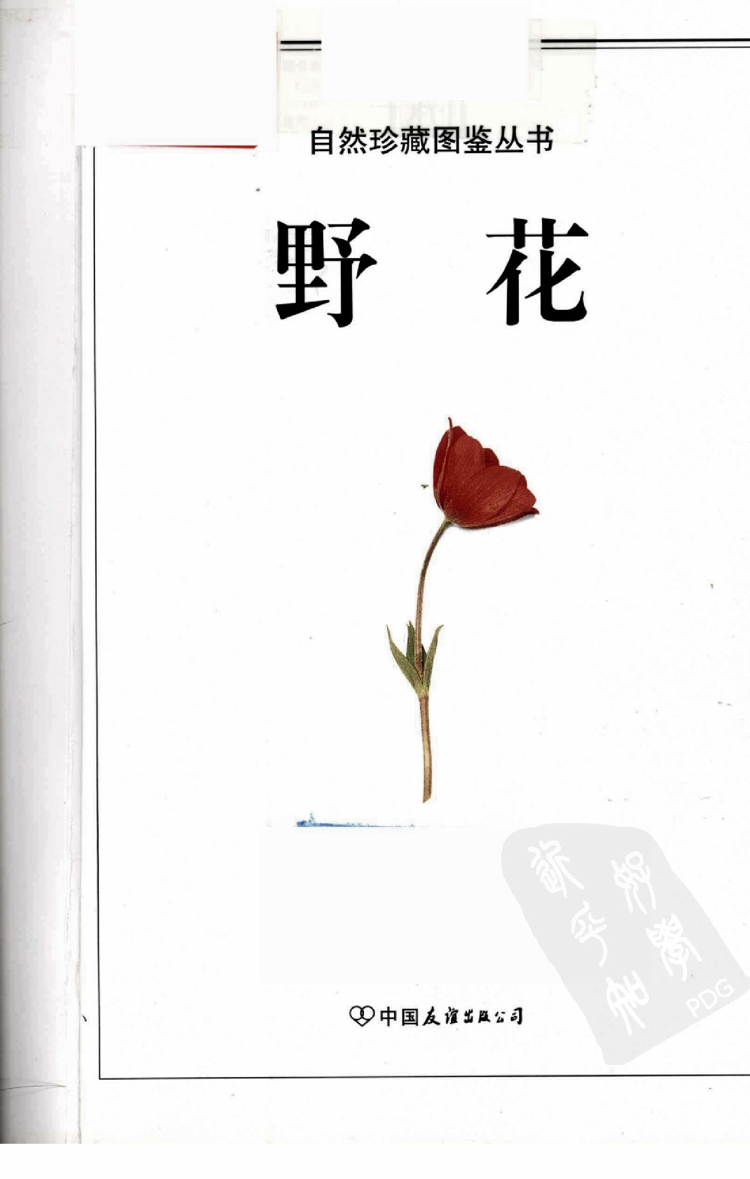 自然珍藏图鉴丛书·野花：地中海沿岸地区500多种野花的彩色图鉴.pdf 第3页