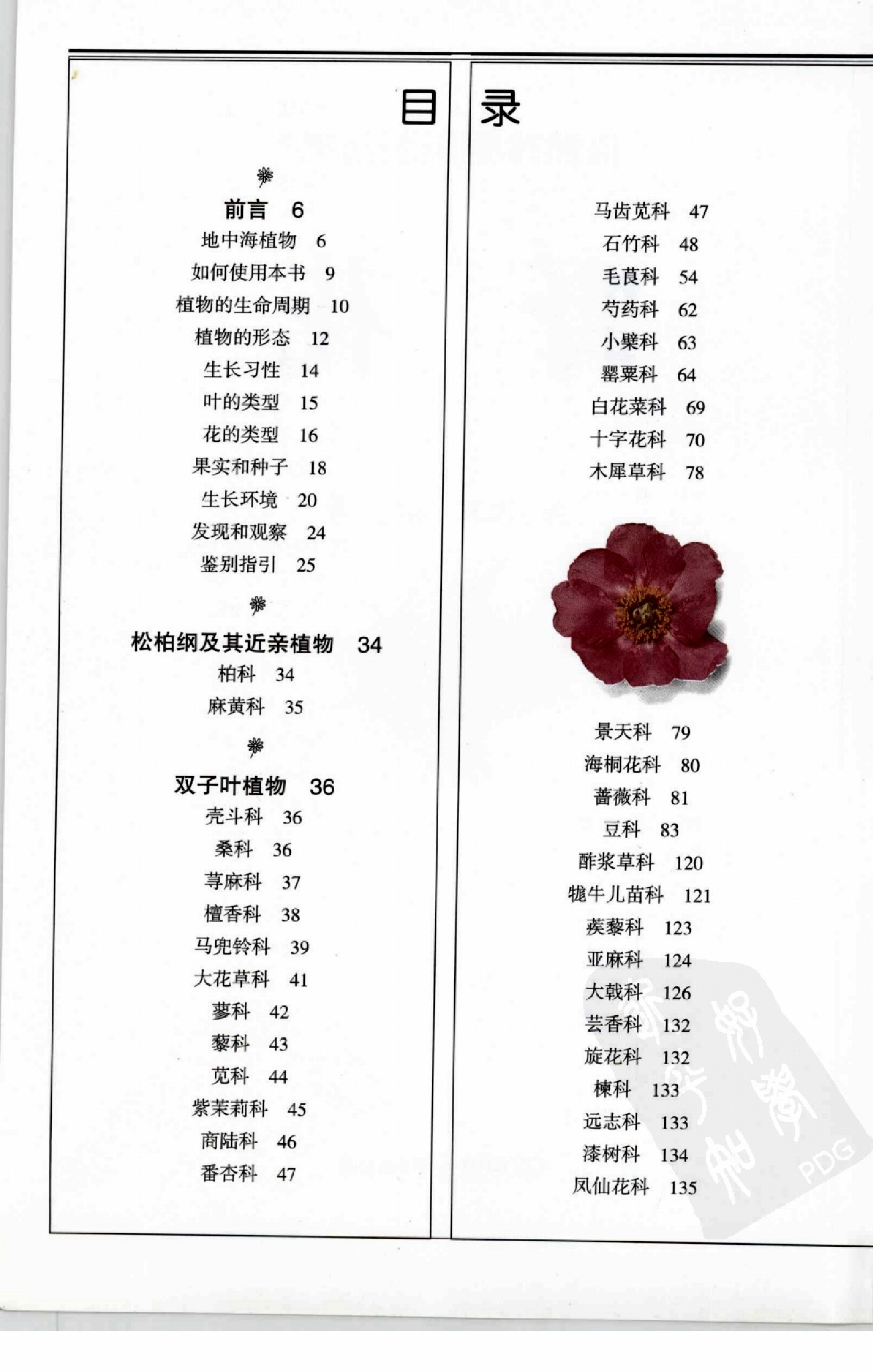 自然珍藏图鉴丛书·野花：地中海沿岸地区500多种野花的彩色图鉴.pdf 第6页