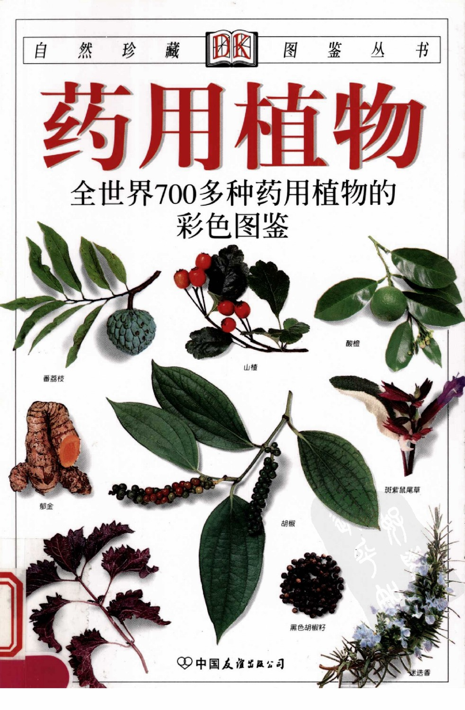 自然珍藏图鉴丛书·药用植物：全世界700多种药用植物的彩色图鉴.PDF 第1页